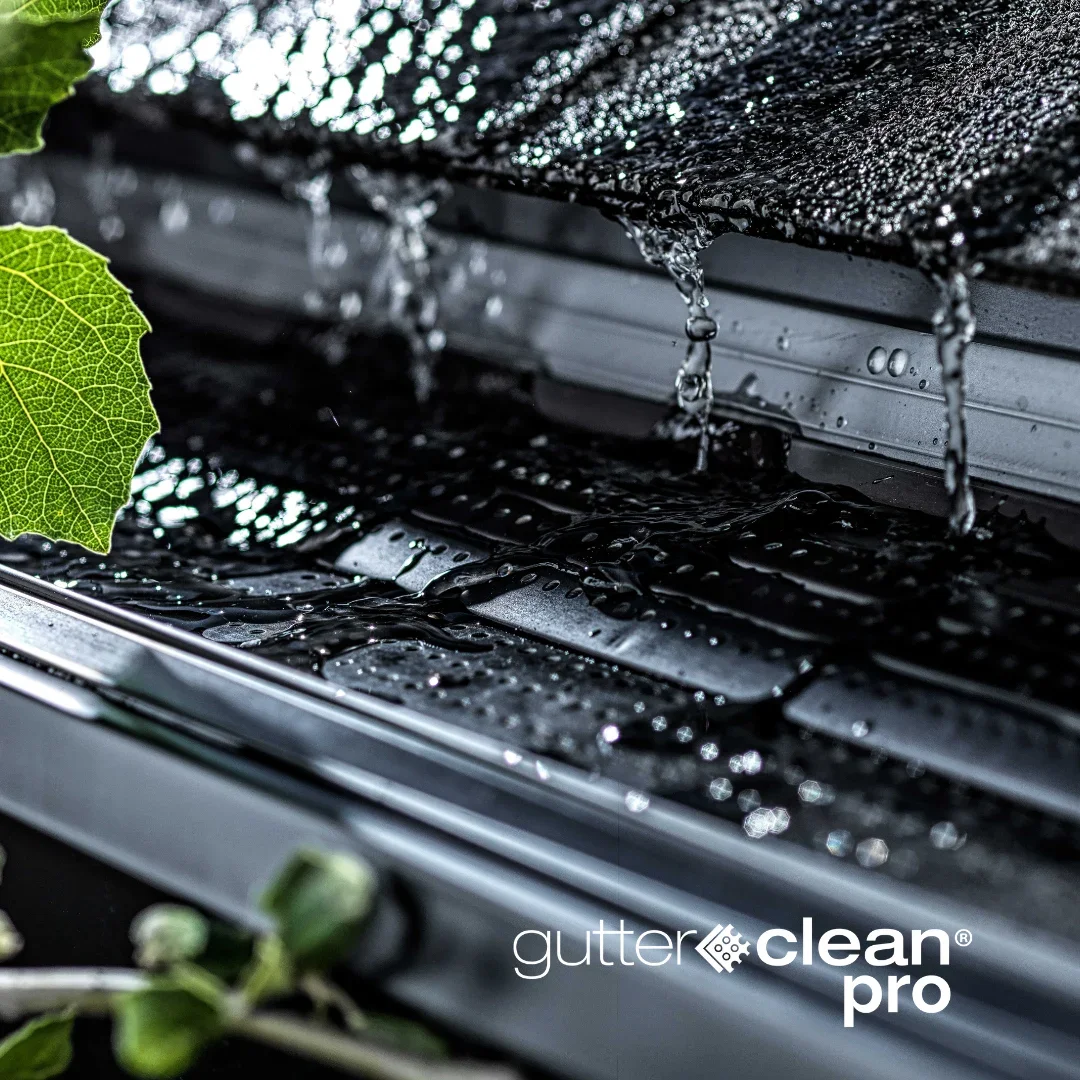 What's the Difference Between Alu-Rex's T-Rex, Double Pro, Gutter Clean, &amp; Gutter Clean Pro?