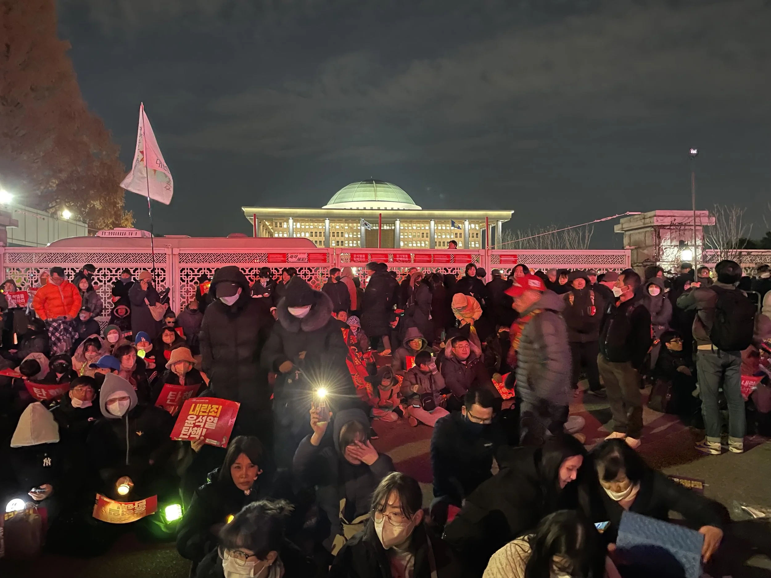 Protesters gather in front of South Korea's National Assembly building in December 2024.