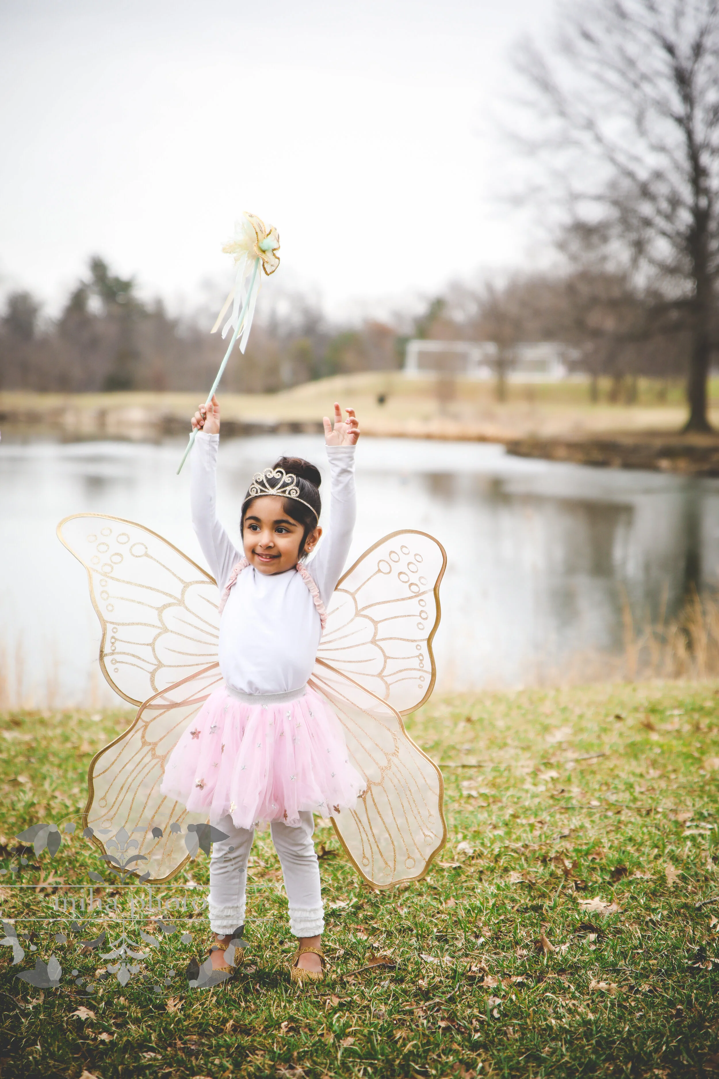 Fairies on a Coudy Day!      Mahmud 2.17.20