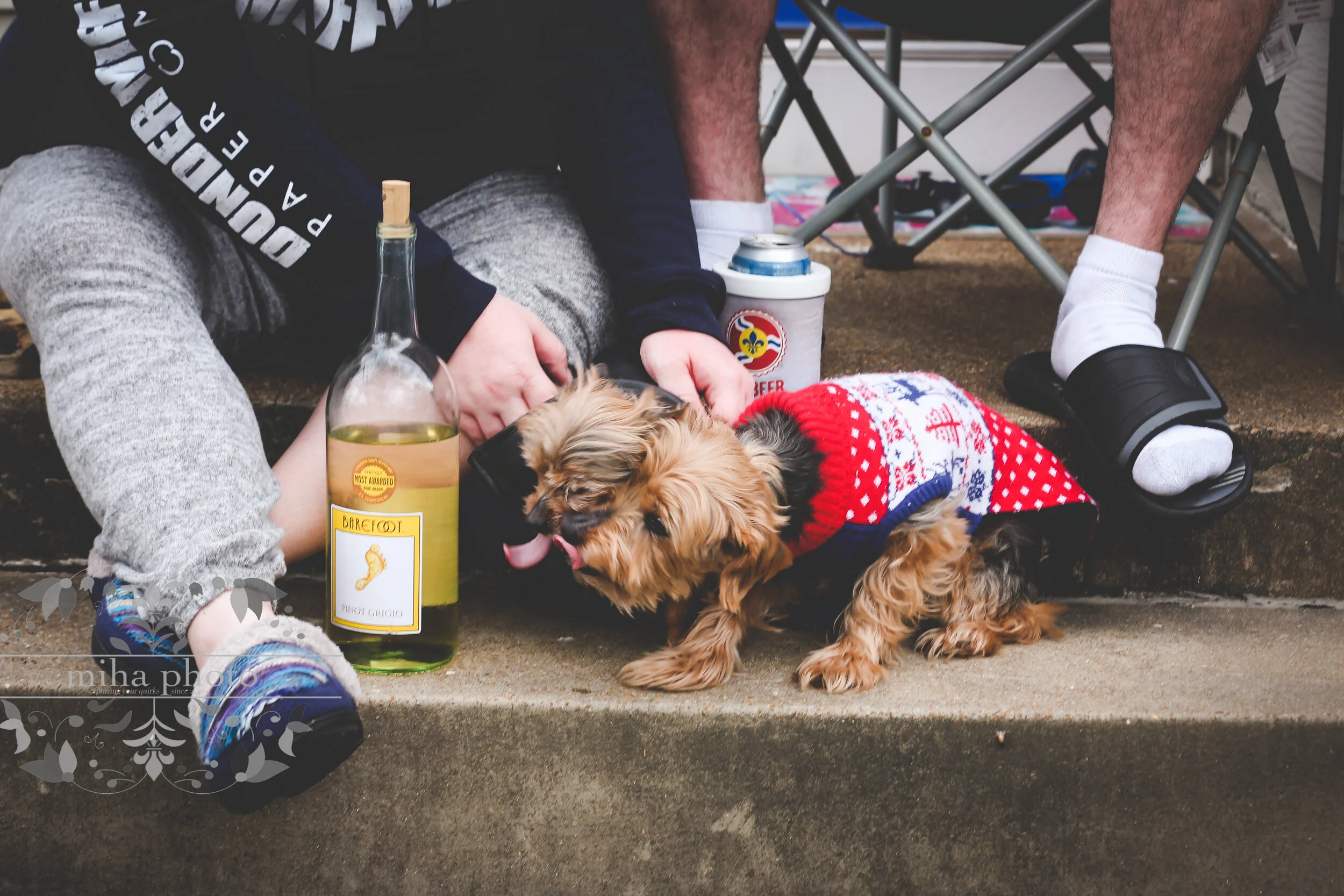 CLearly the dogs were into the wine, too!