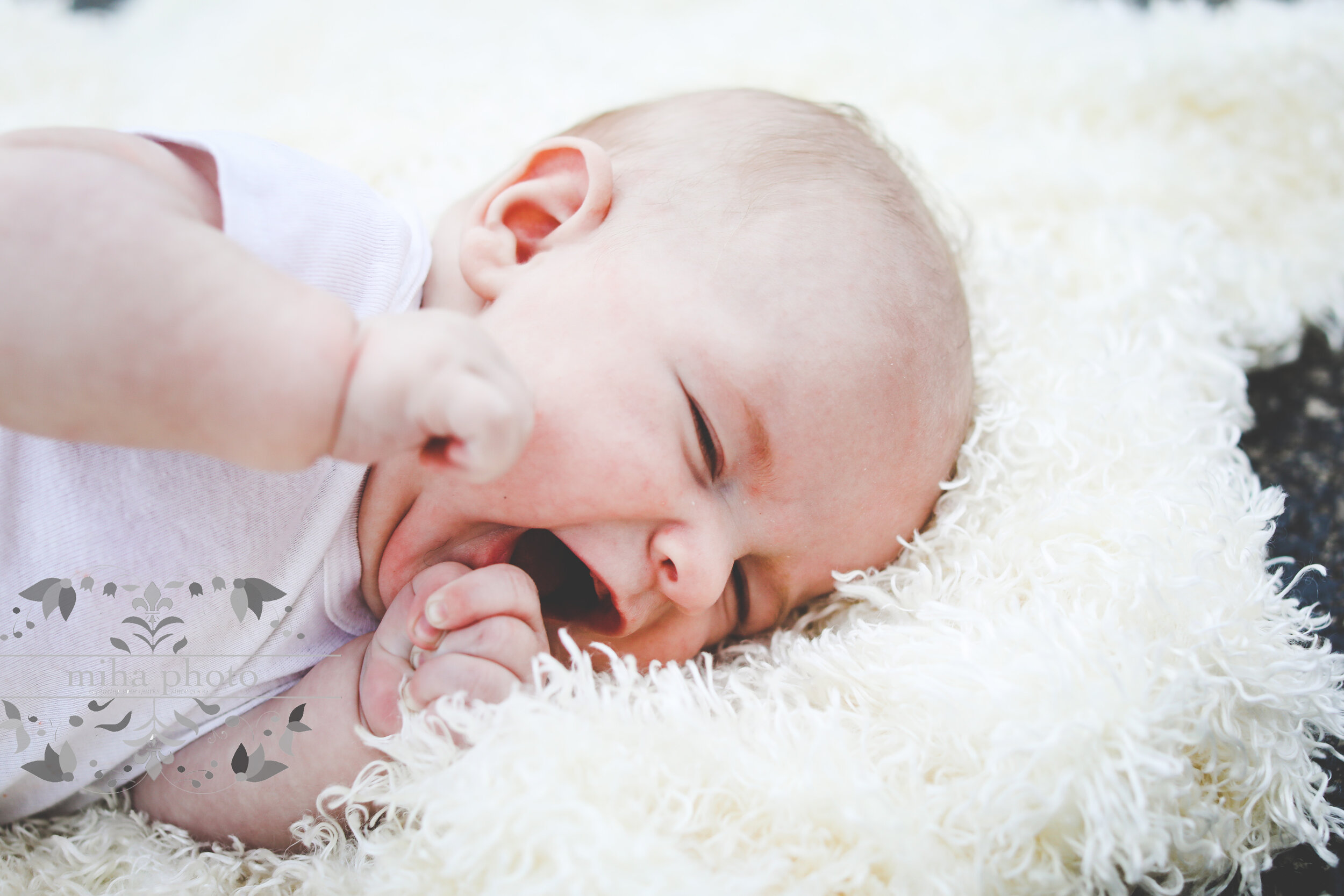 He's a GIANT! :)     |     Moreshead 5.30.20