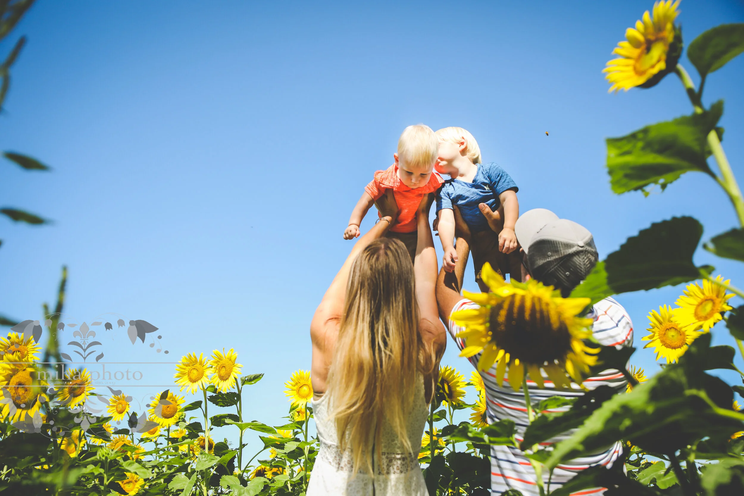 Yep, We Did the Sunflower Fields!     |     Macdonald 8.2.20