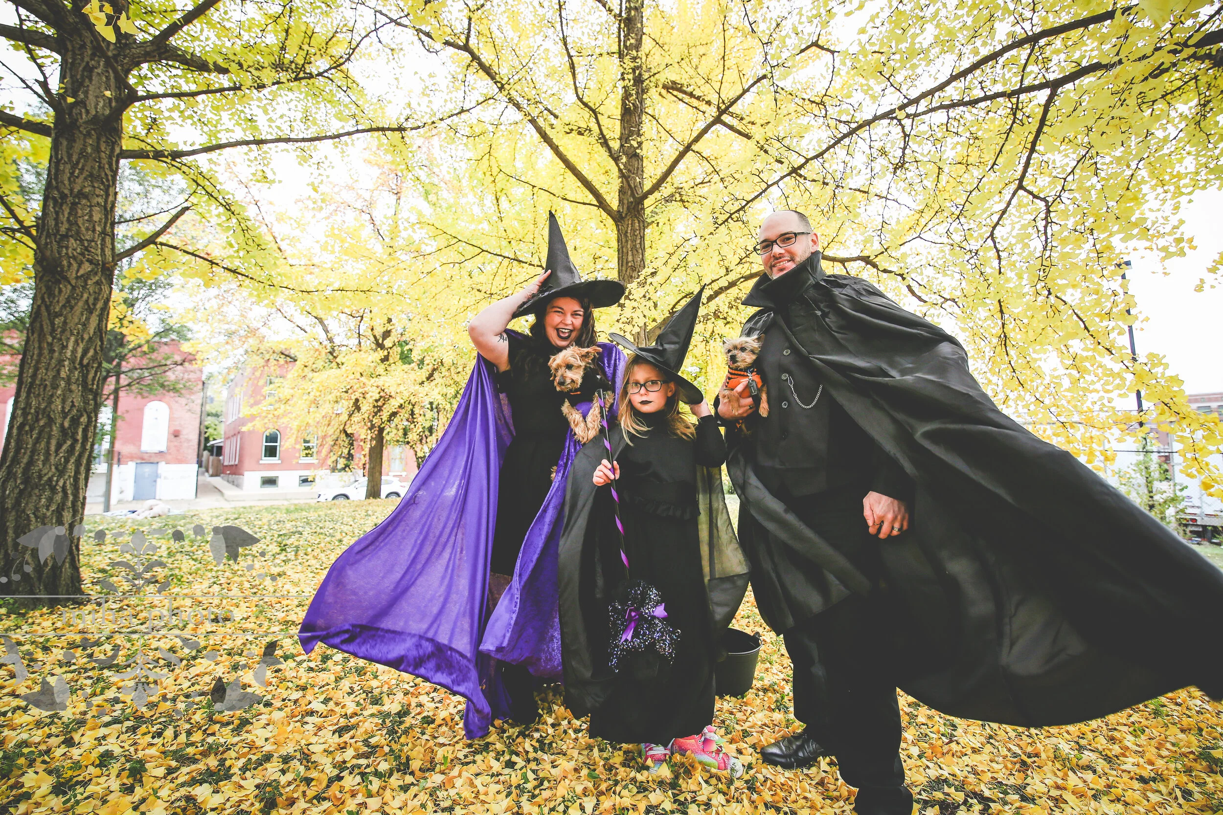 LOOK AT MY FRIENDS!!!     |     Modglin 10.24.20