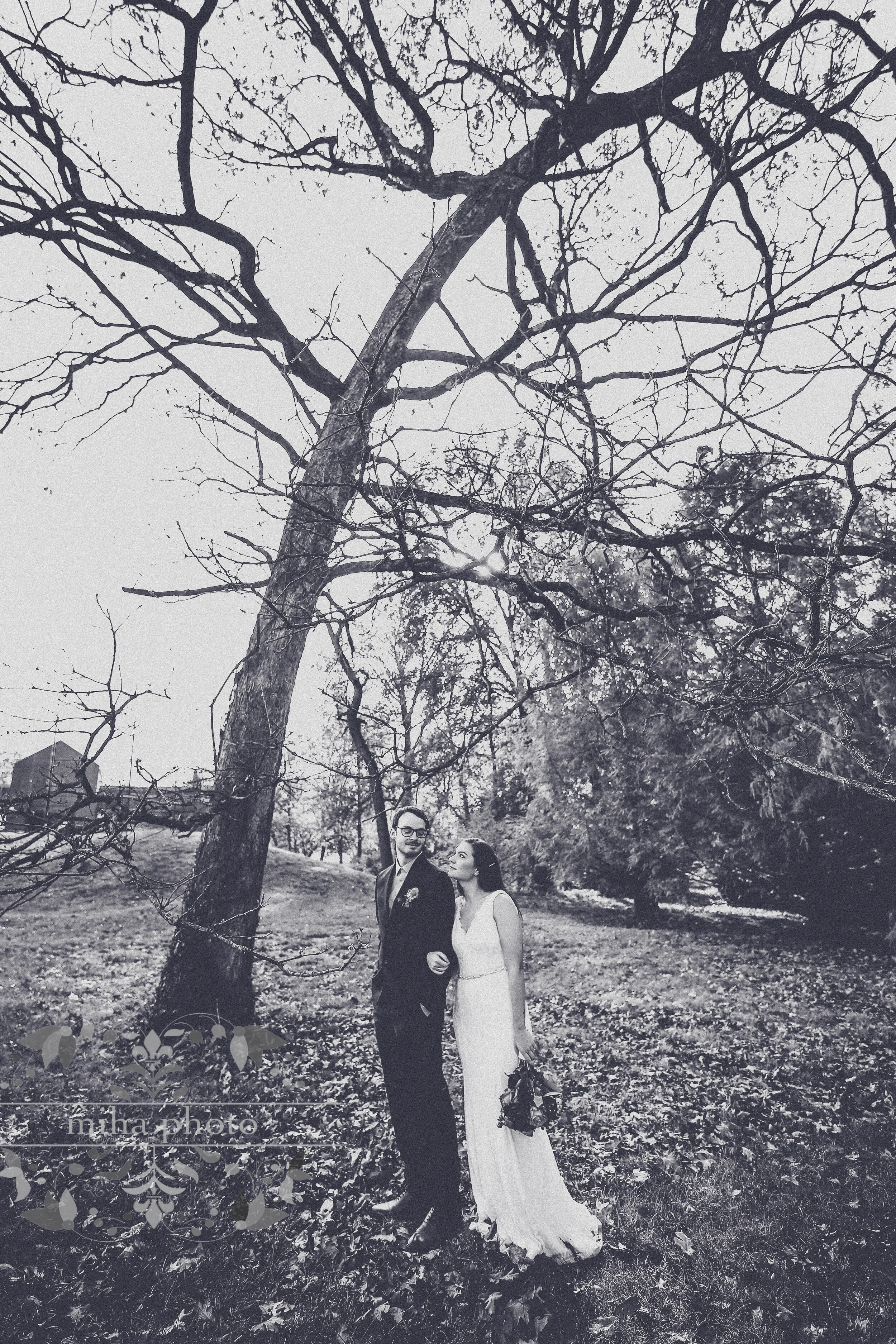 A Non-Spooky Wedding!     |     Haberstroh 10.31.20