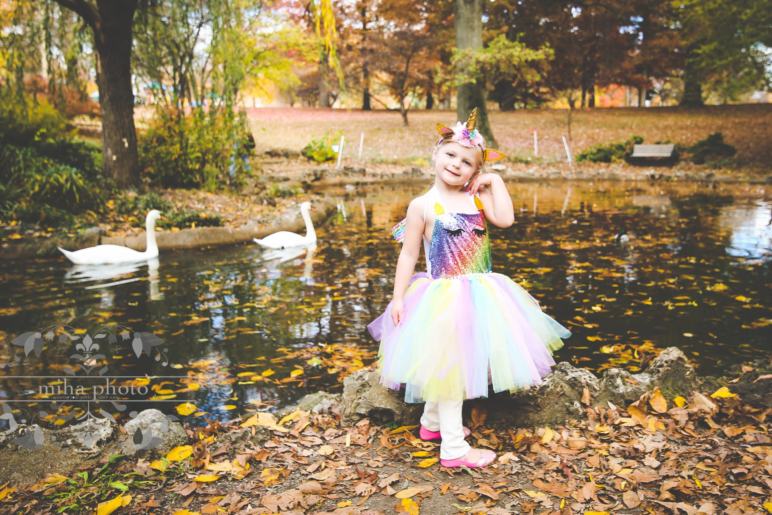 A Unicorn and Well-Placed Swans!     |     Hunt 11.9.20