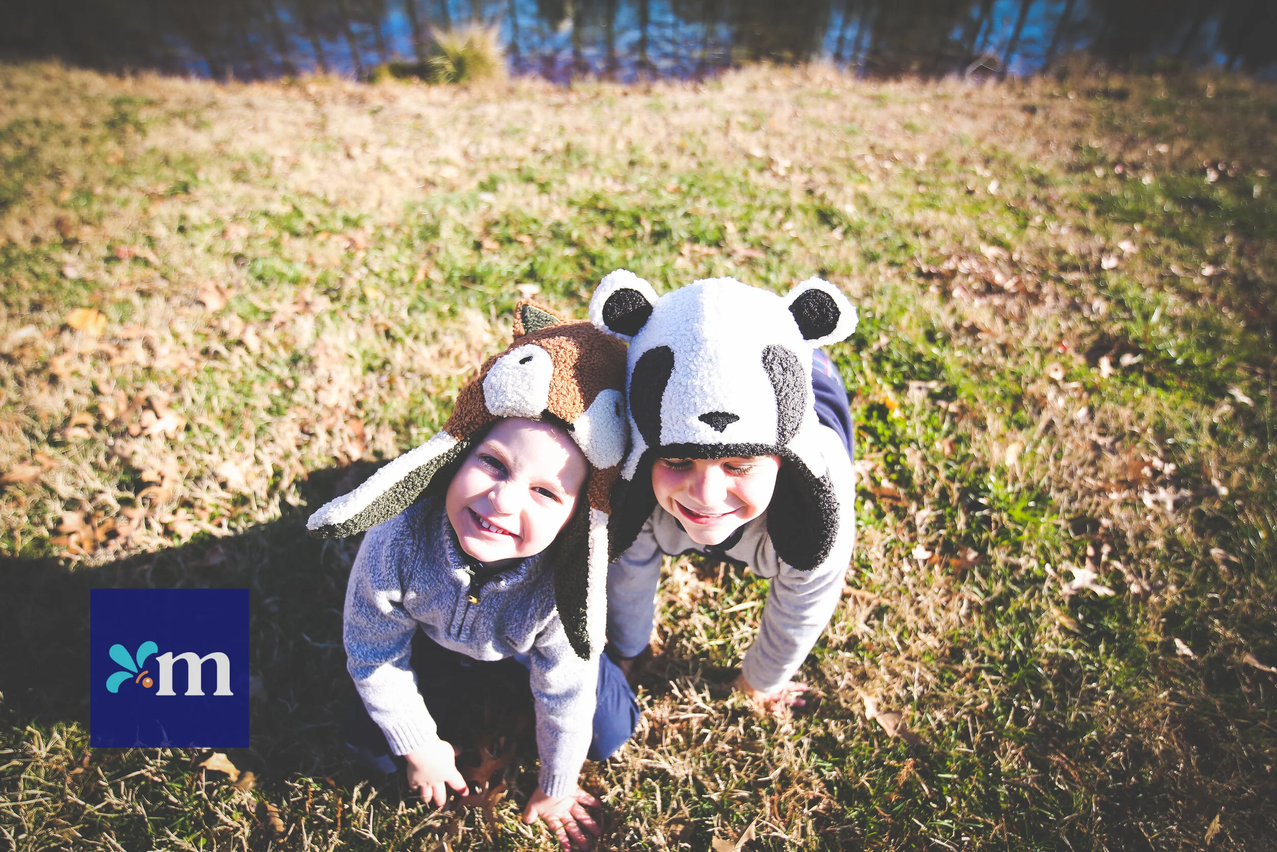 The Brewers are Back!     |     Brewer 12.5.20