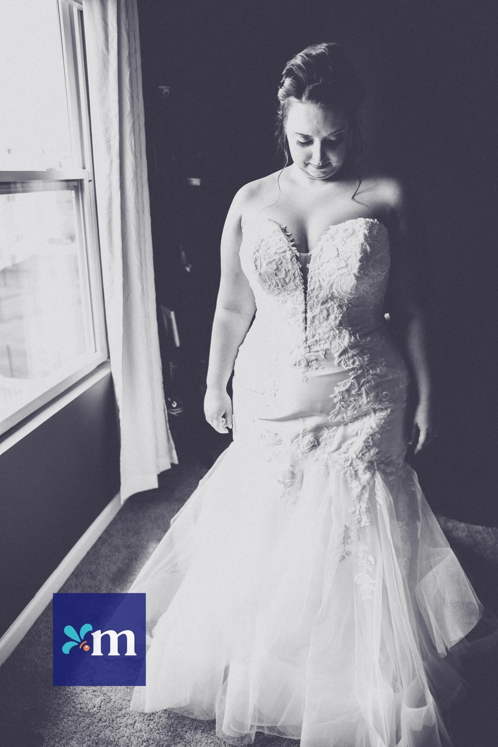 A Wild Zoo Wedding!     |     Houk 5.22.21