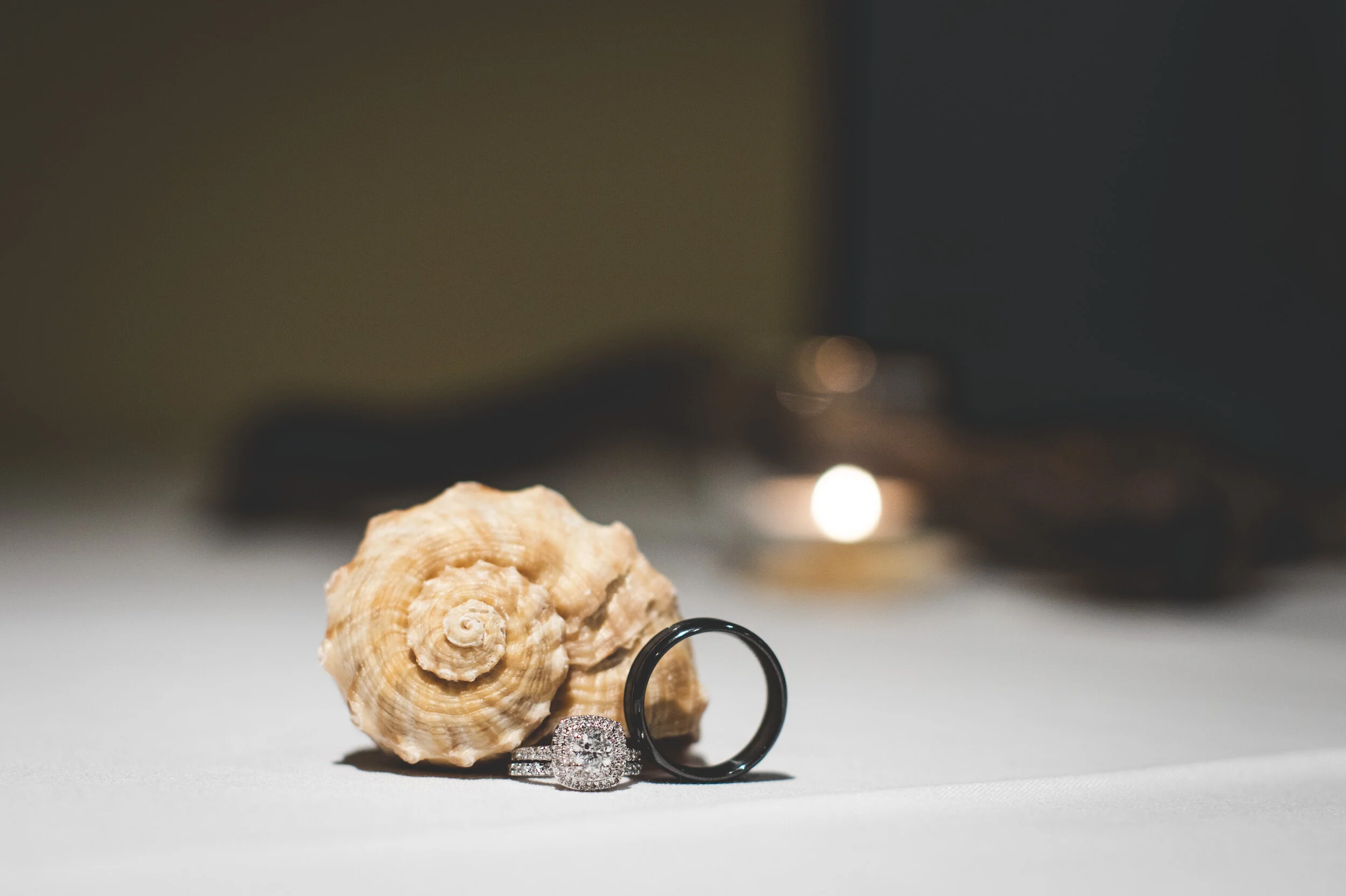 An ocean-themed wedding detail shot of the bride & grooms' rings in front of a nautilus sea shell.