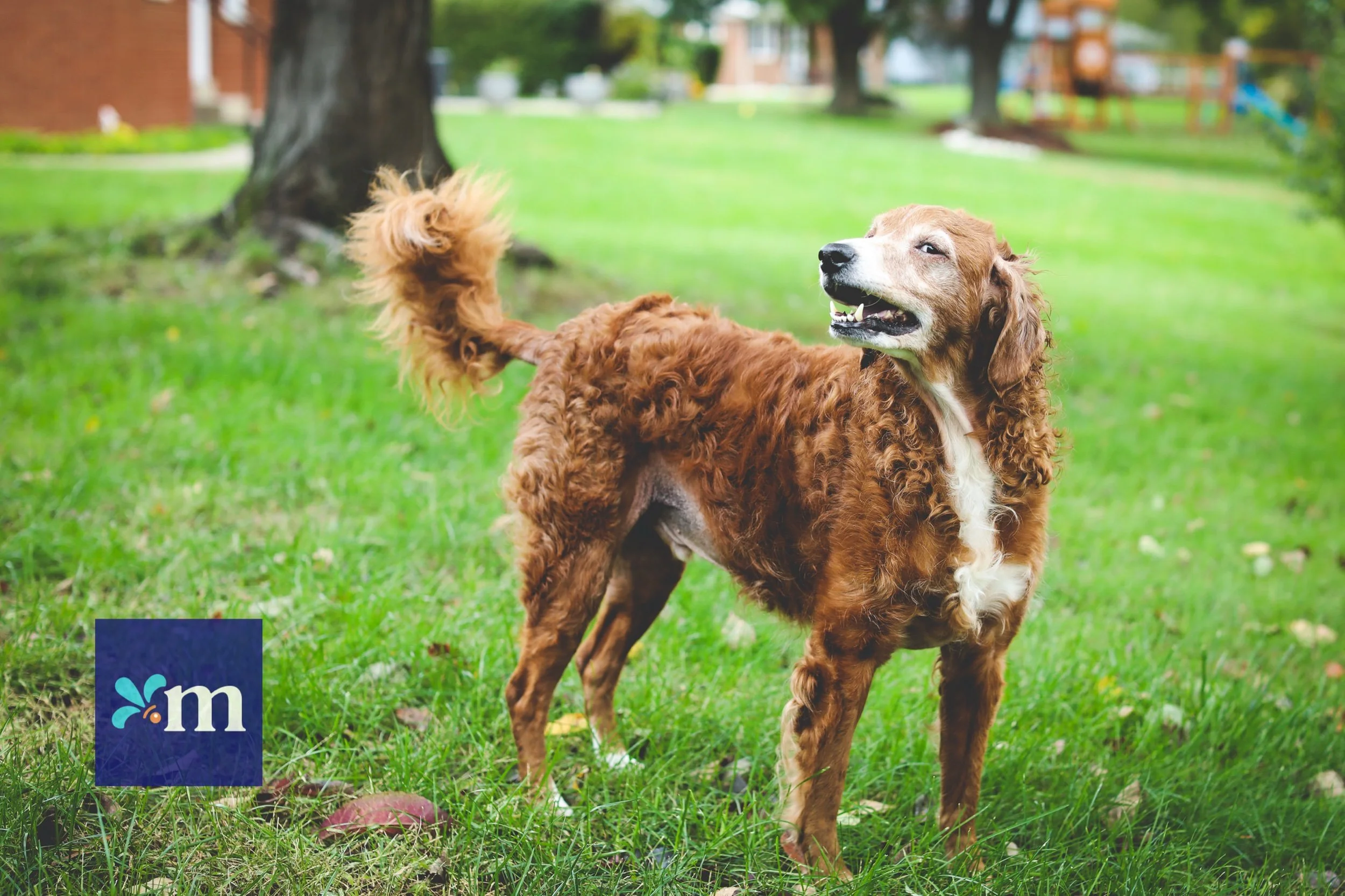 21 Pinsker II Blog-26.jpeg