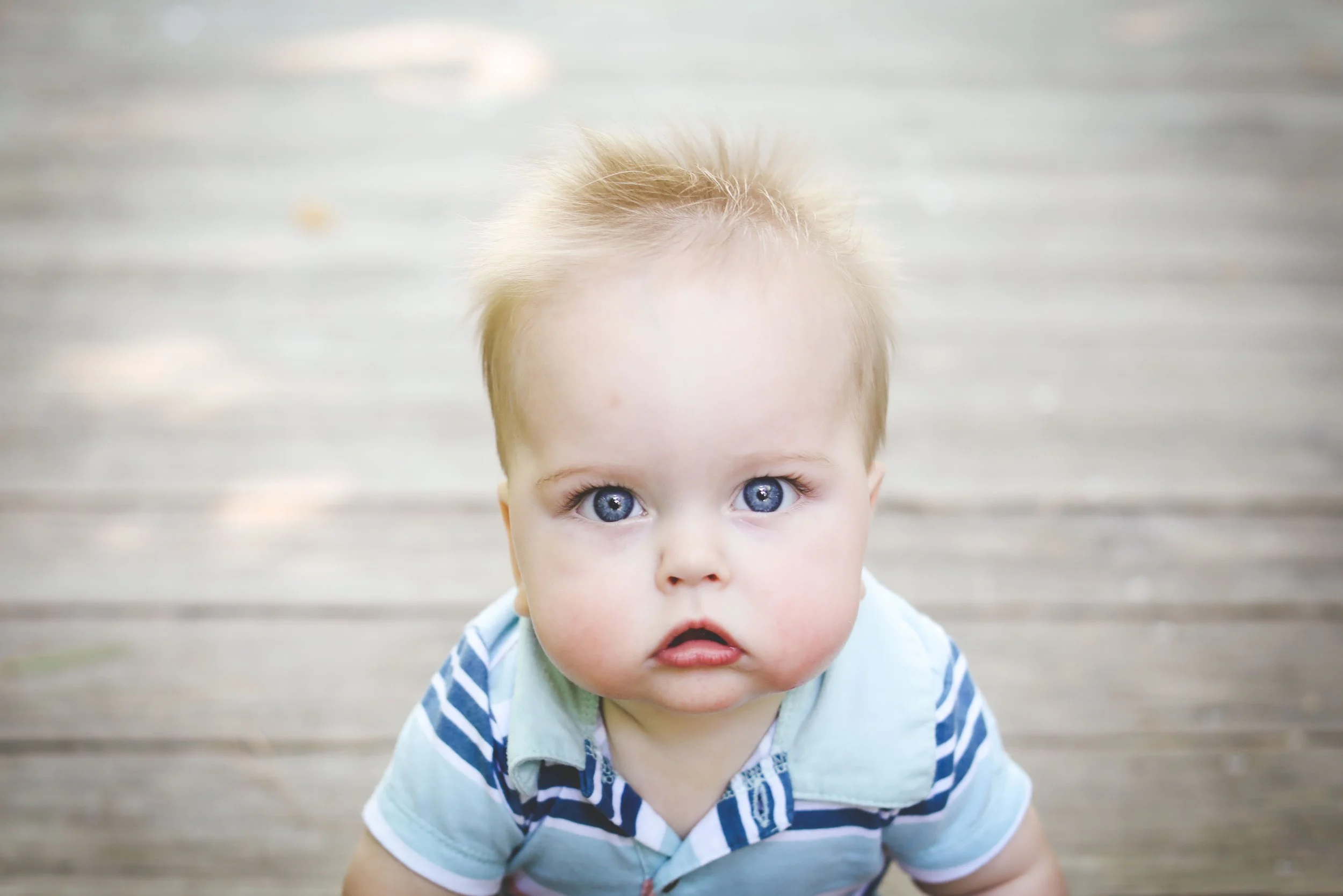 Close up portrait of a baby boy with big blue eyes showing off his big chunky cheeks.