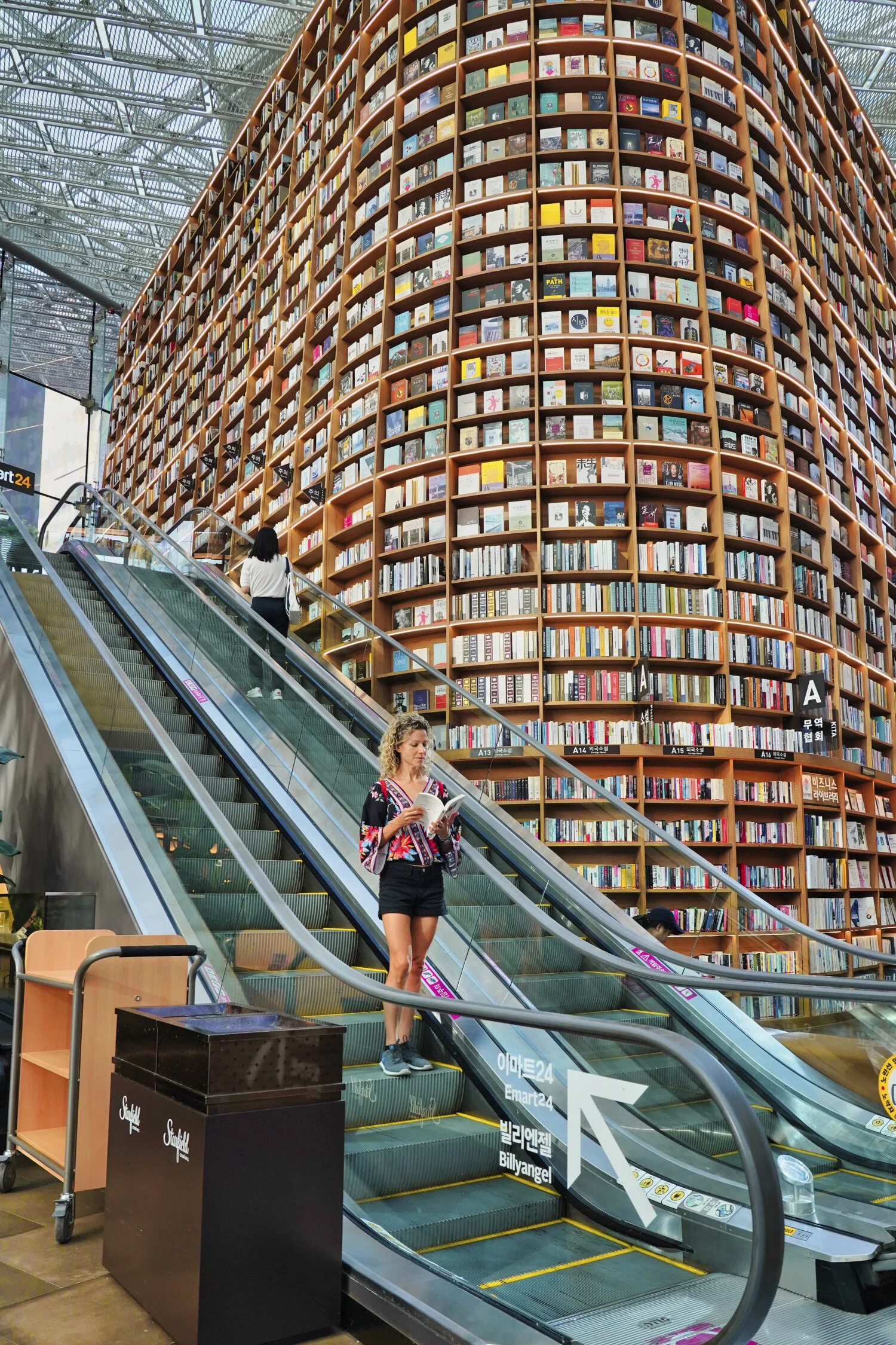 The Instagram famous library