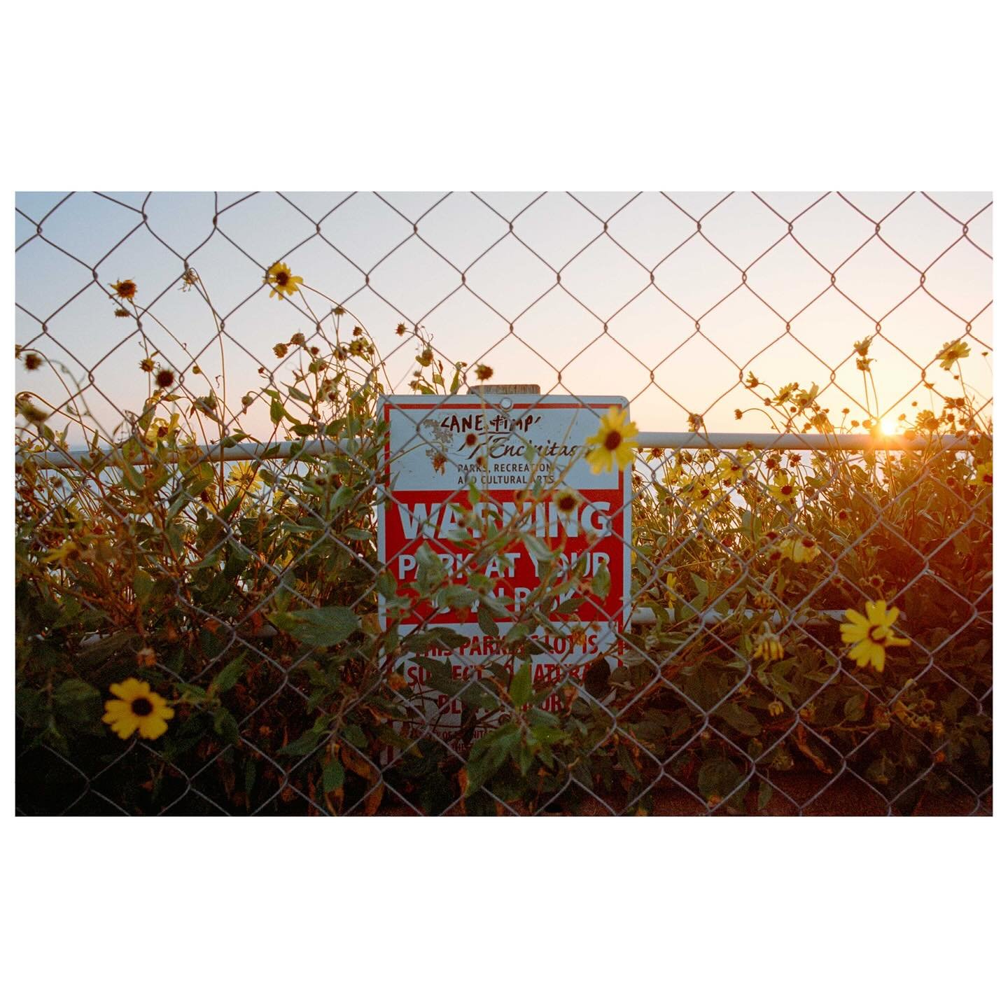 warning signs.

🎞 // Kodak Portra 400
📷 // Leica MP