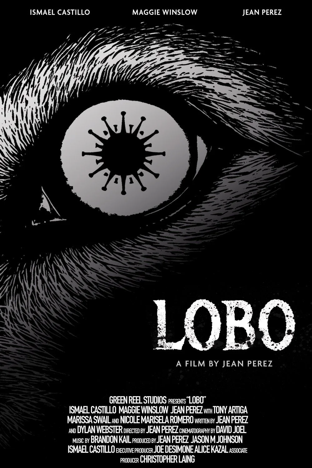 Lobo