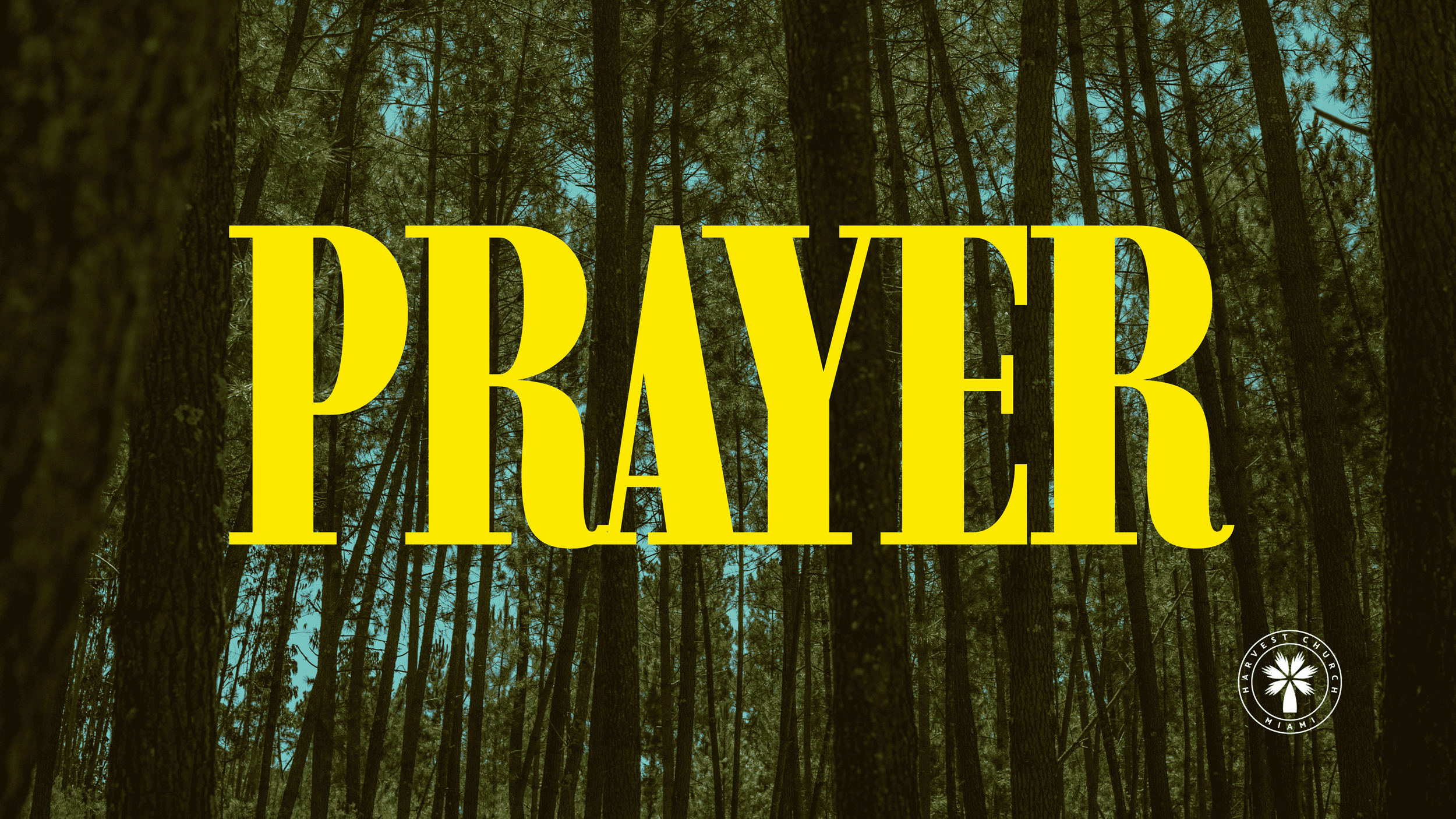 Yellow Modern Typography Beatitudes Sermon Church Presentation (wecompress.com)-min.png