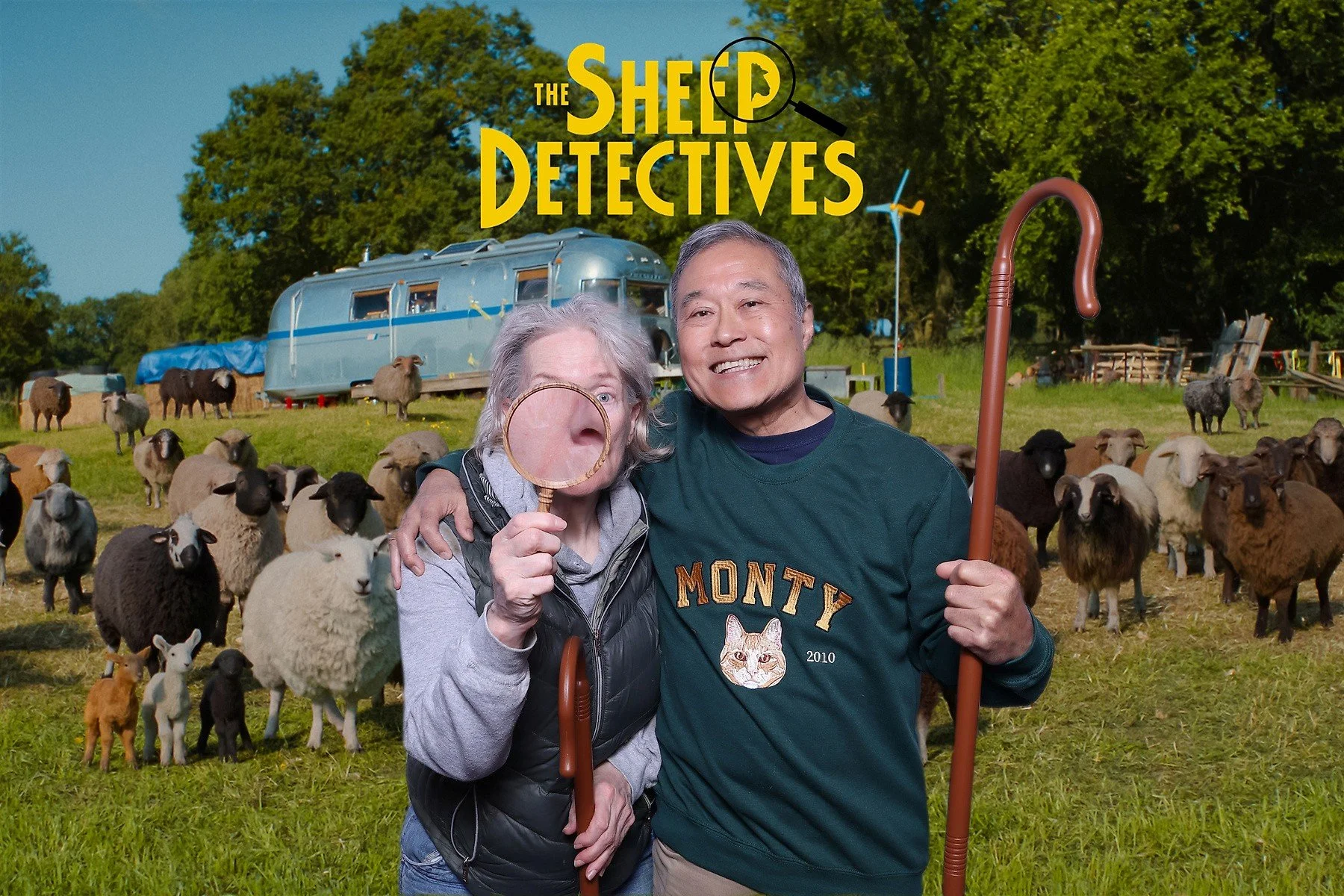 Sheep Detectives.jpg