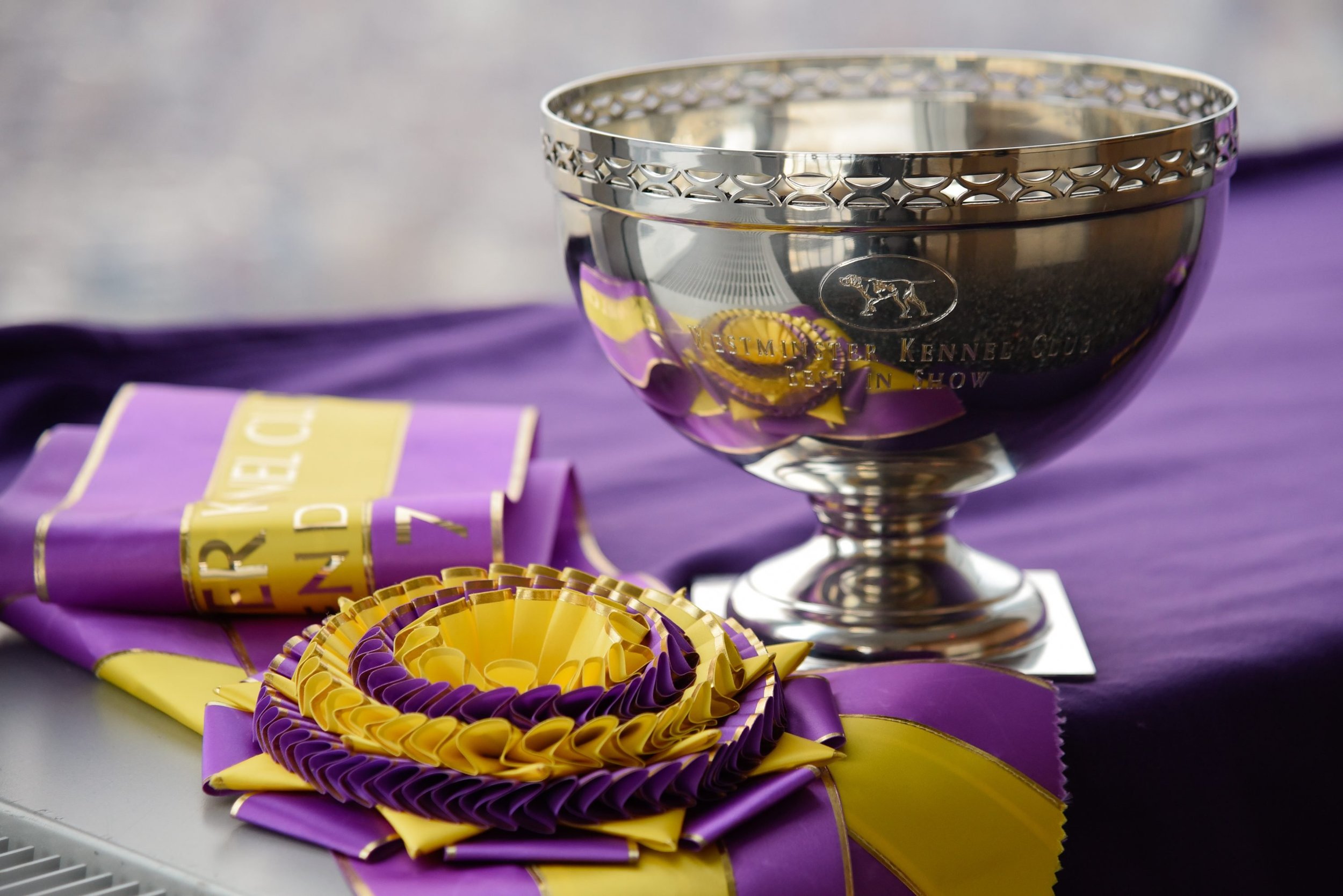GENERAL TROPHY FUND DONATION