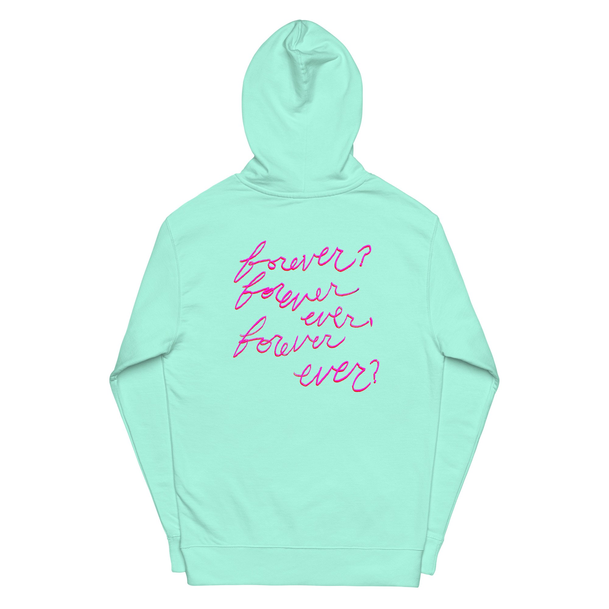 unisex-midweight-hoodie-mint-back-6561ffe60cef5.jpg