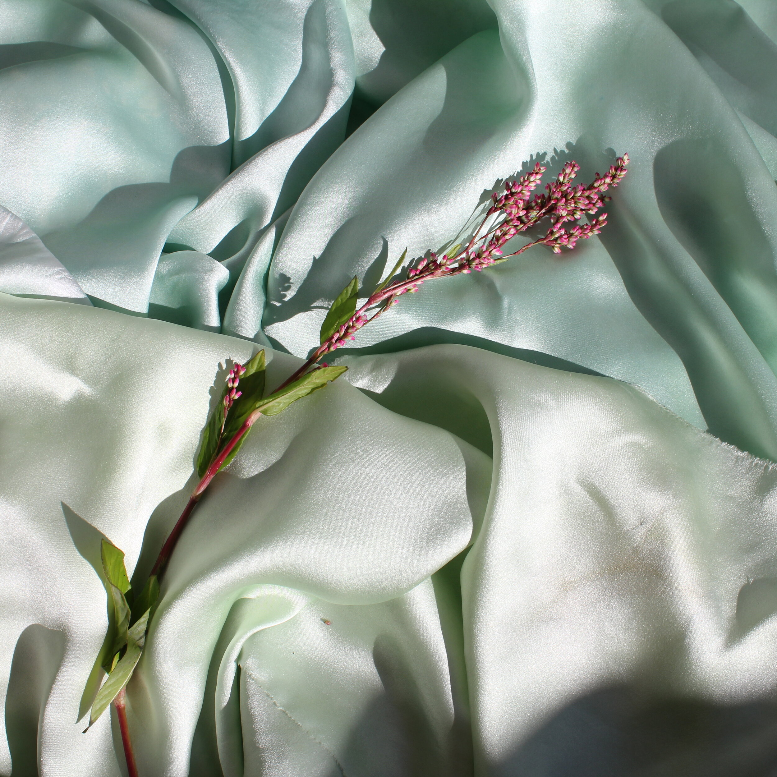 Fresh IndigoFresh Indigo leaf mixed with cold water and ice will yield a beautiful seafoam green/blue color.