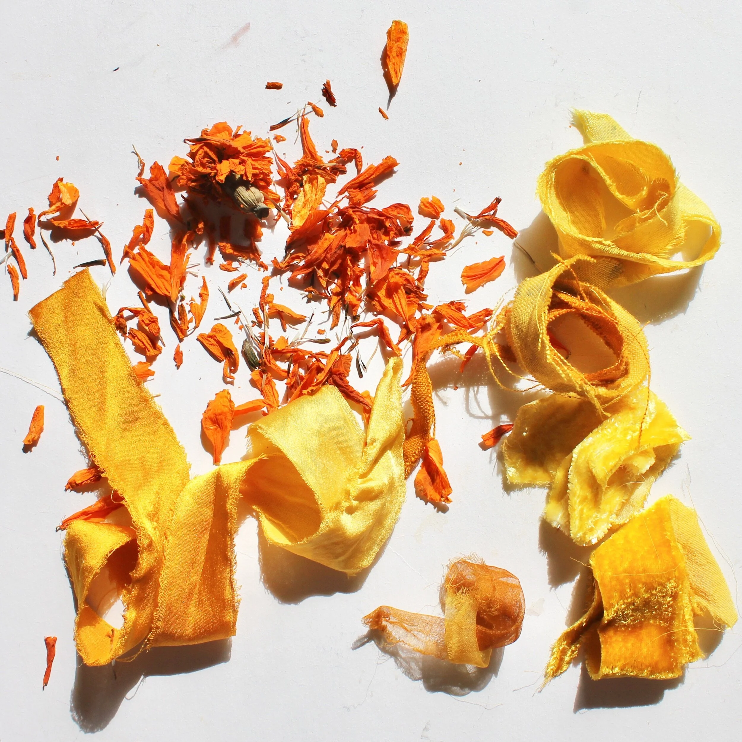 Natural Dyes — Flower Dye