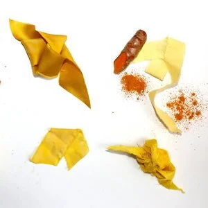 TurmericThe root, both fresh and in powder form, make a vibrant yellow dye. Turmeric has been used for thousands of years as an internal and external medicinal preparation..