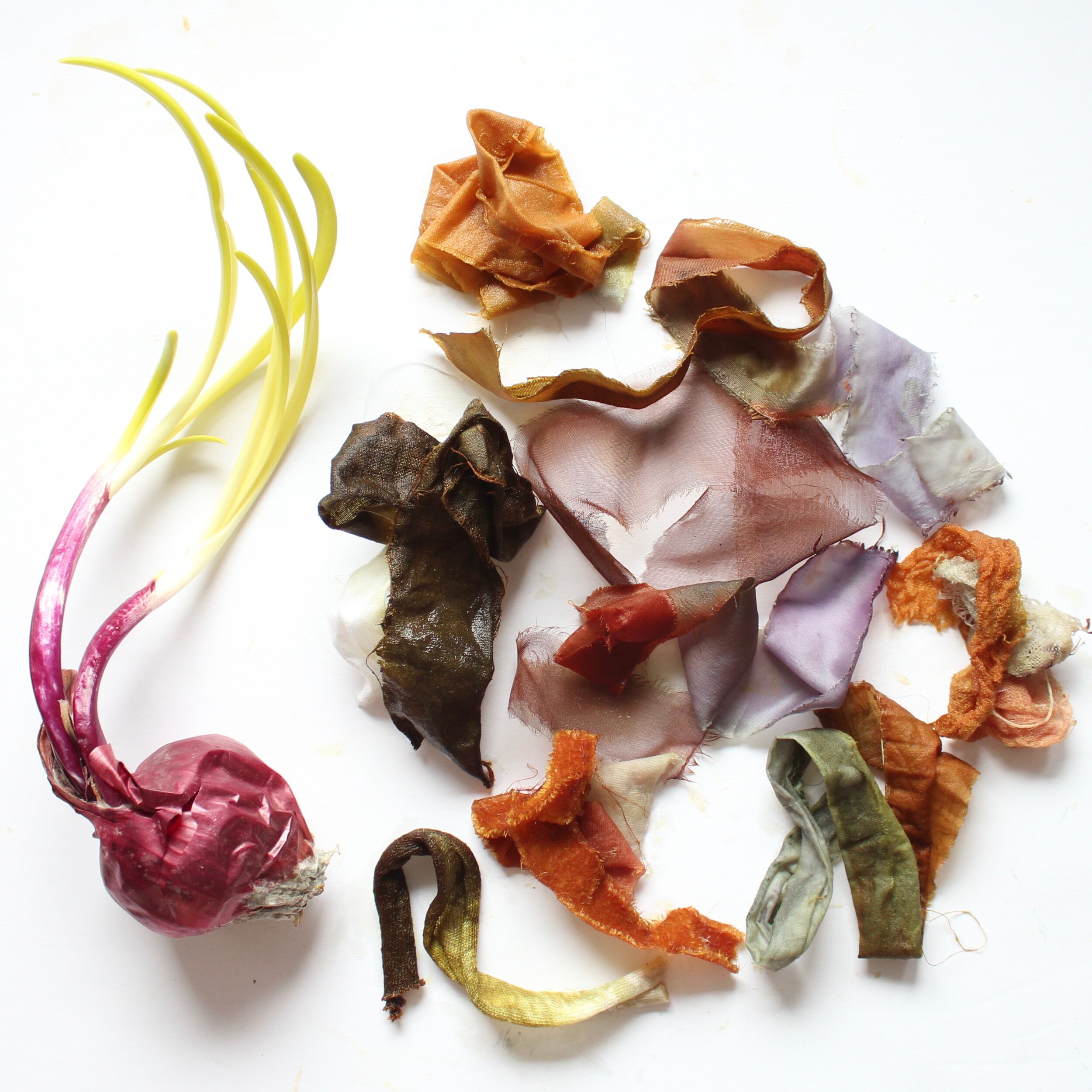 Red Onion SkinsThe skin of a red onion can create a whole spectrum of color from chartreuse to army greens, lavender to rust.