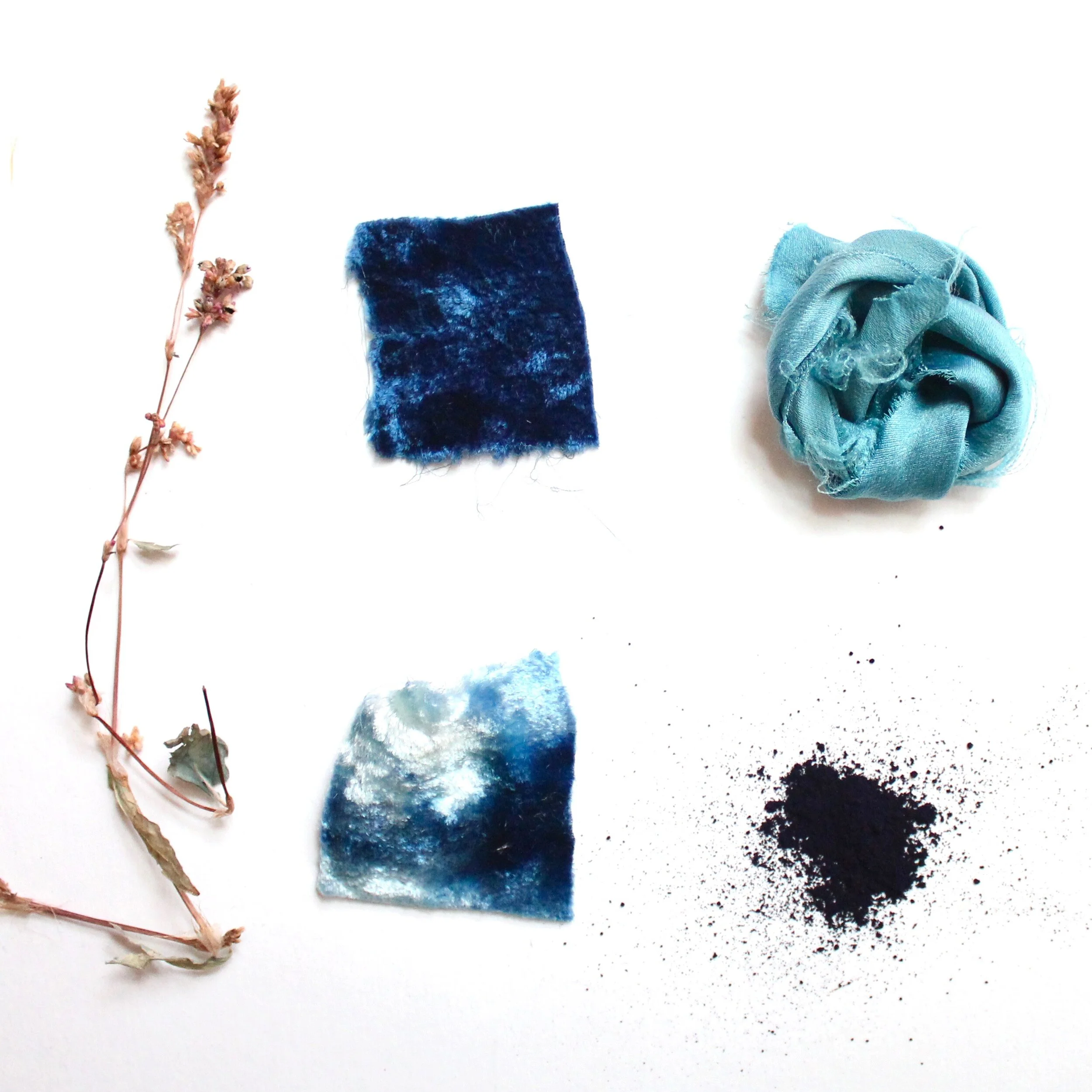 IndigoIndigo dye comes from the leaf of the Indigo plant. It is unique from all other natural dyes for its color and the process by which the dye is prepared.