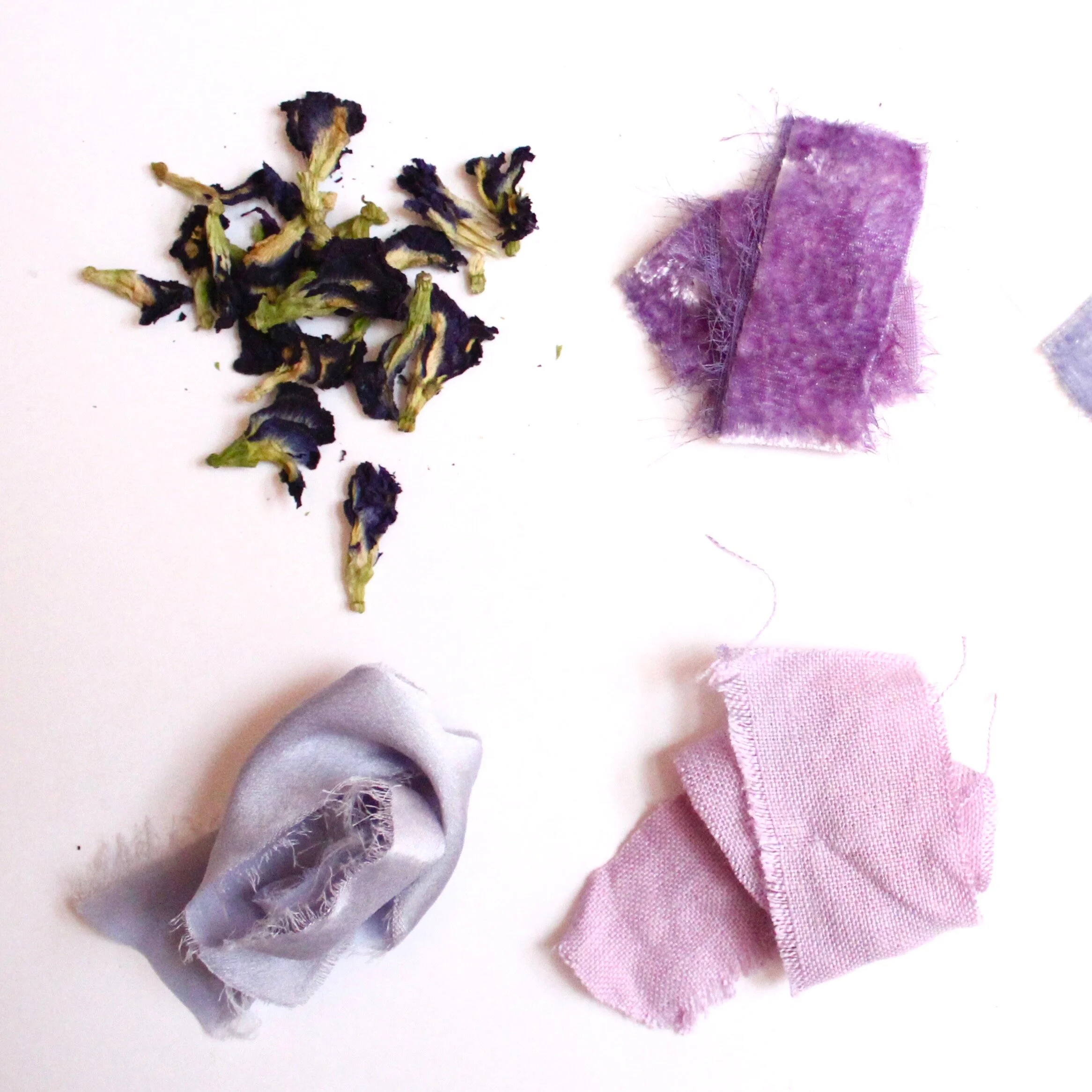 Butterfly PeaThis flower, sourced from Asia, yields periwinkle and blue. With added acid such as lemon, it will turn purple.