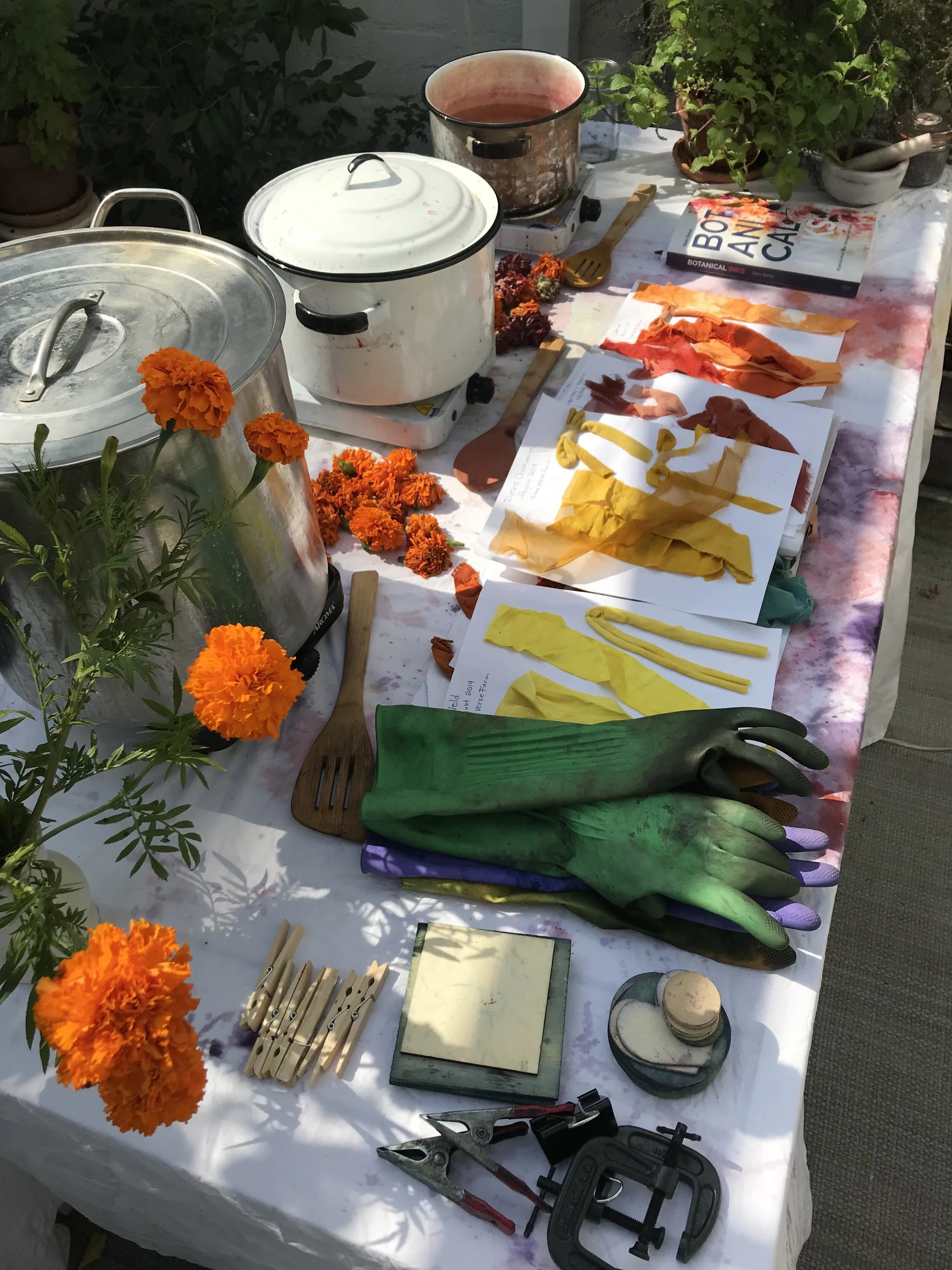Natural dye workshop at Paper Fashion studio. September 2019.