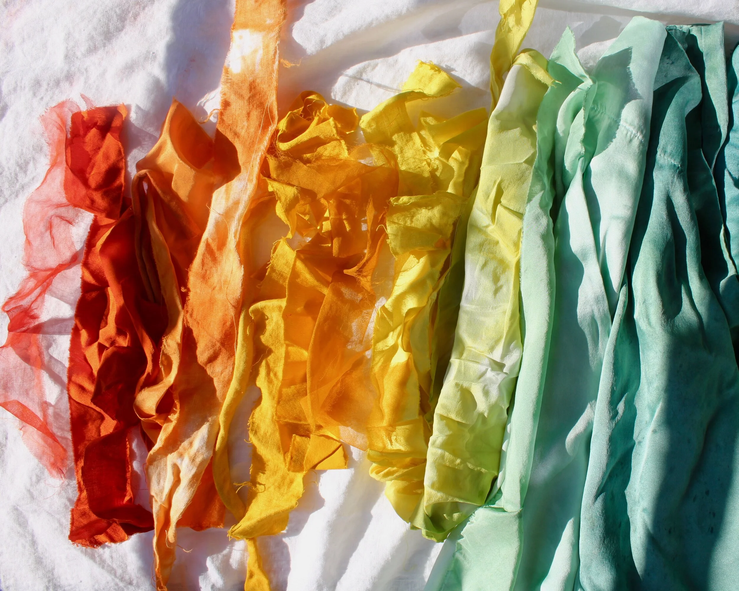 Anima Mundi Apothecary: Create a Rainbow from Nature