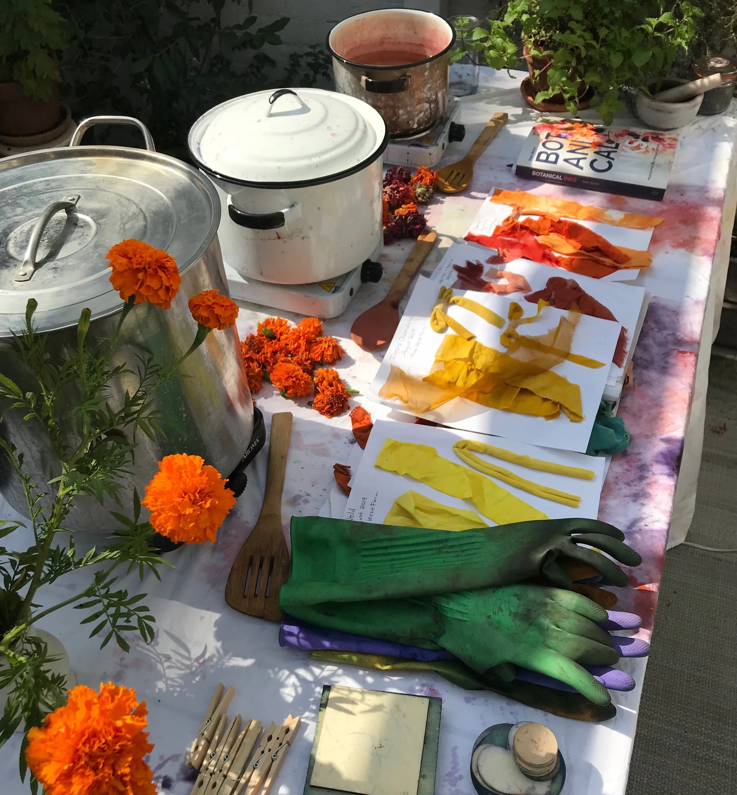 paper fashion natural dye table.JPG