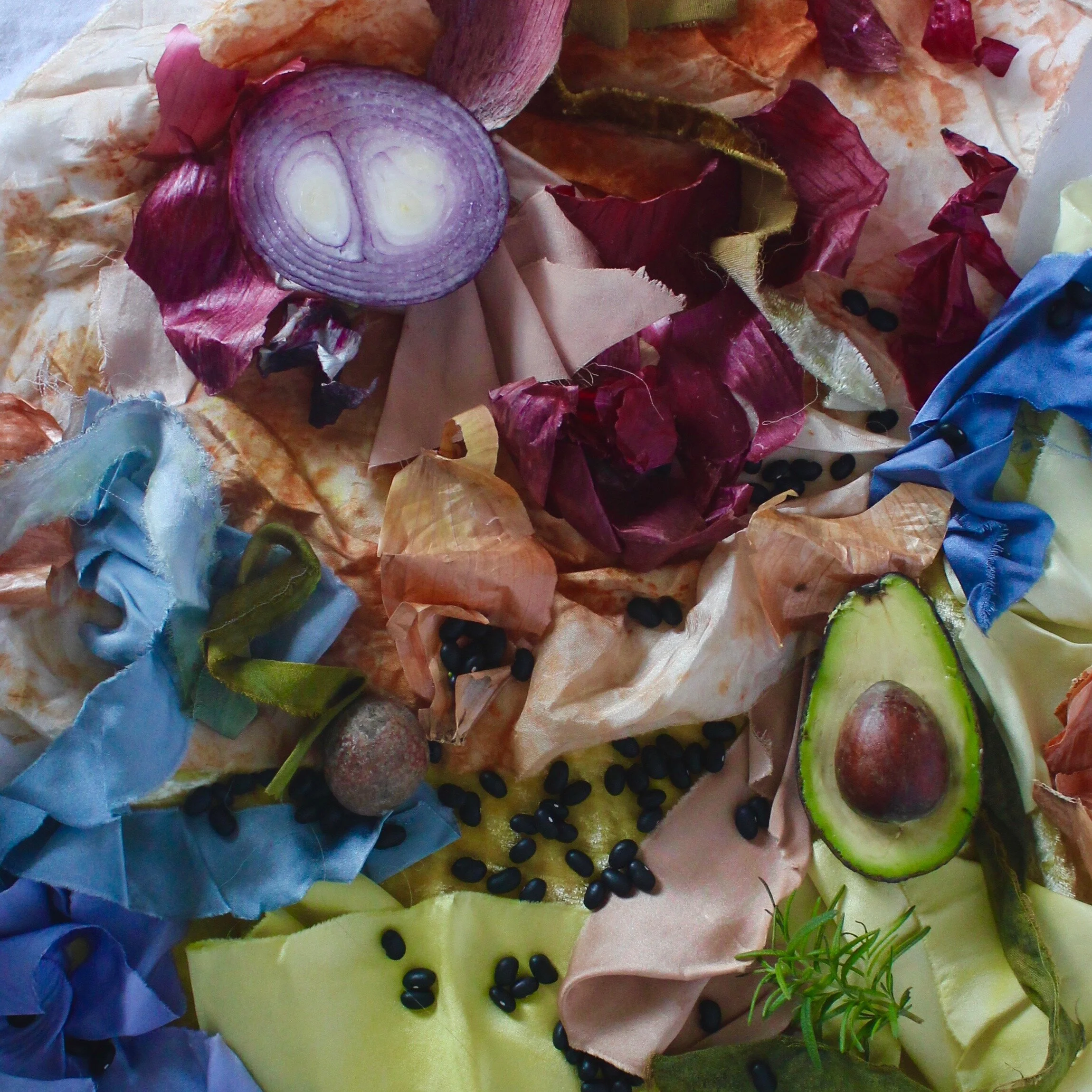 FOOD WASTE + KITCHEN DYE MODULEINCLUDES: BLACK BEAN, TURMERIC….