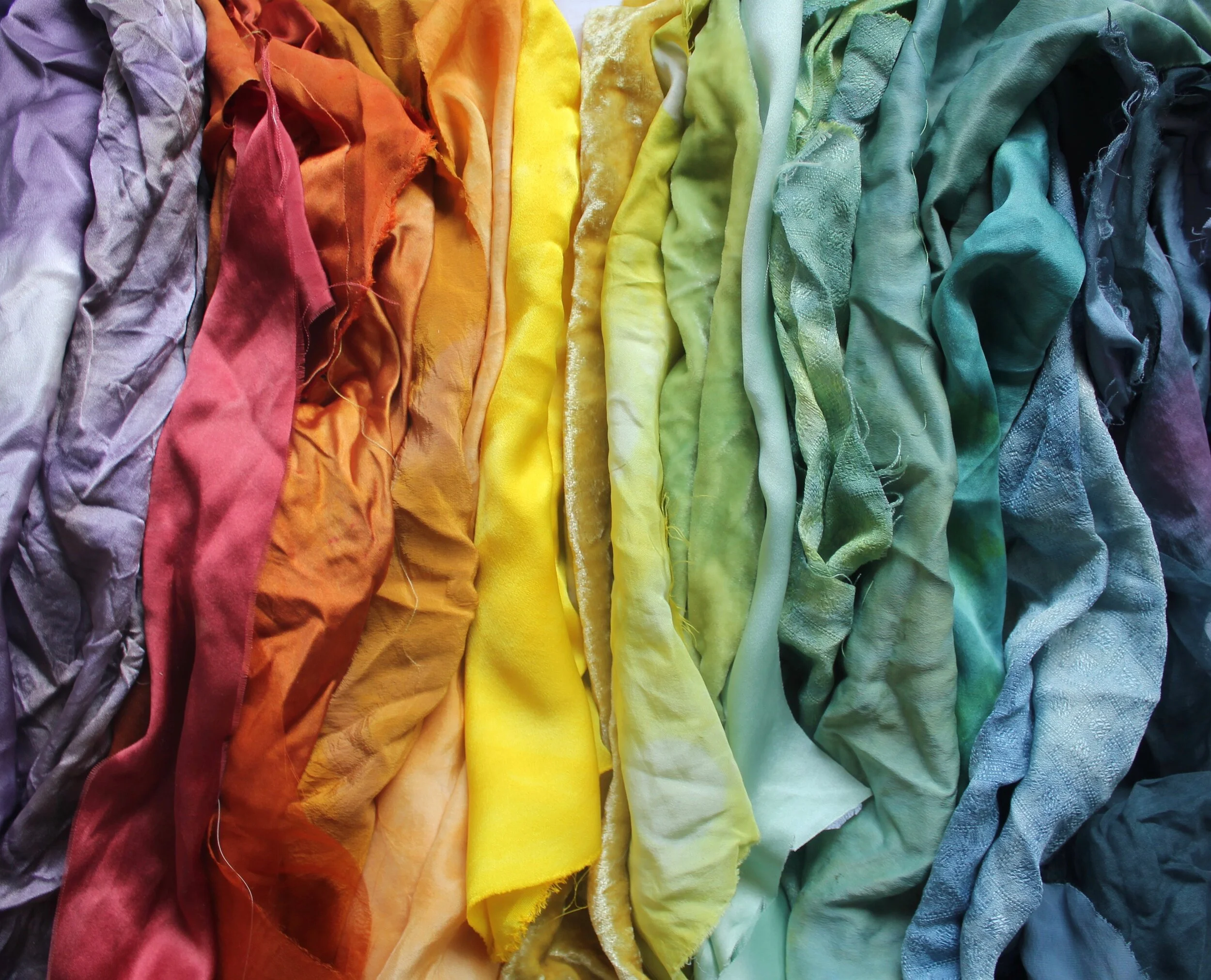 RAINBOW DYE MODULELEARN HOW TO MAKE A RAINBOW OUT OF A VARIETY OF NATURAL DYES