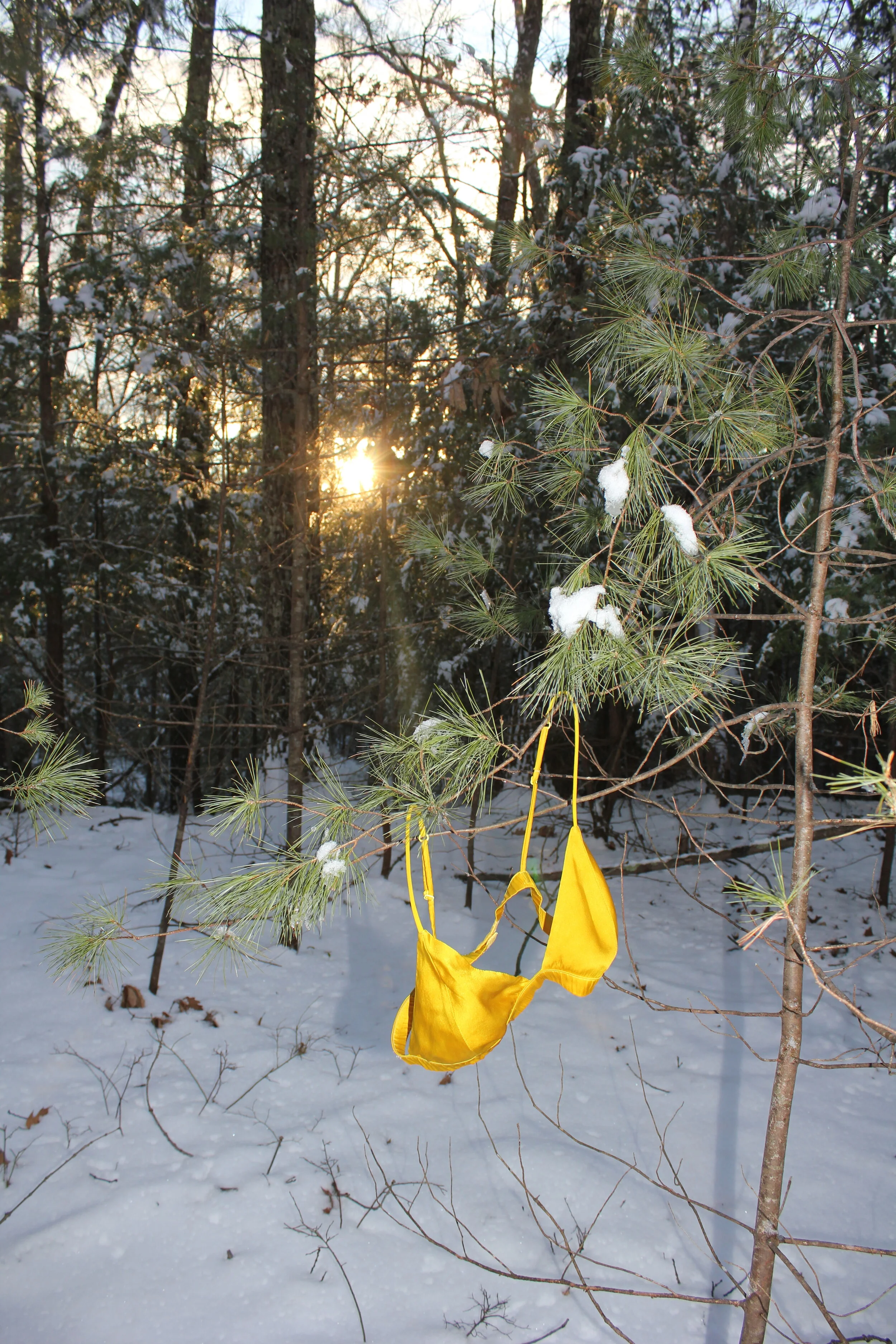 Silk Triangle Bra in Sun