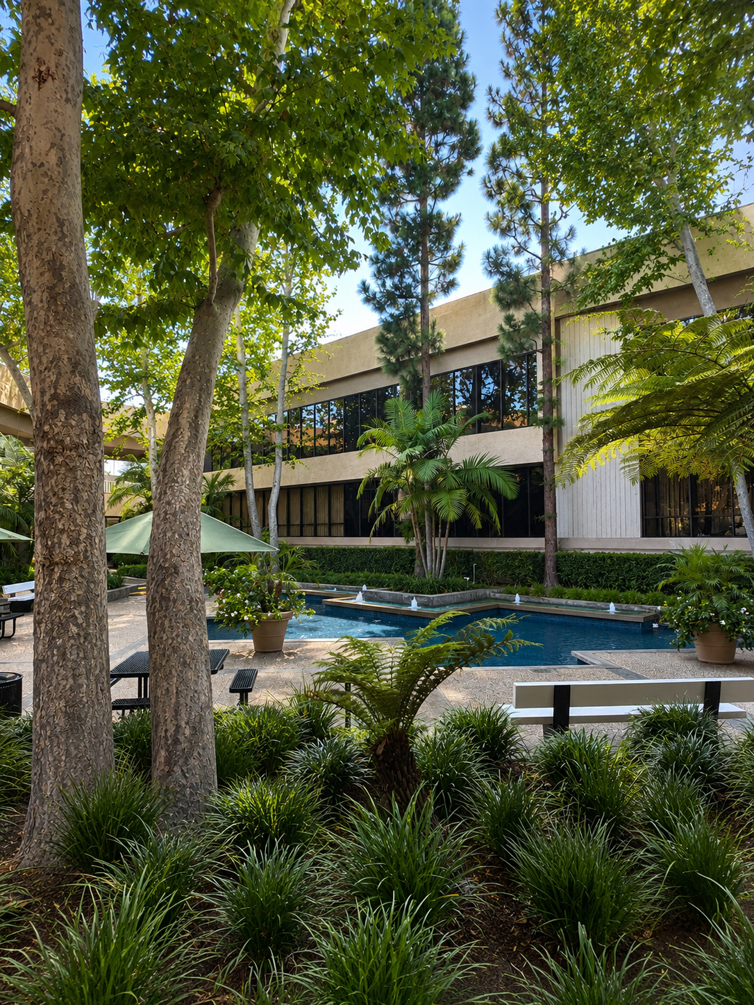 A courtyard with a small pool surrounded by lush green plants, trees, and outdoor seating, with a modern building in the background.