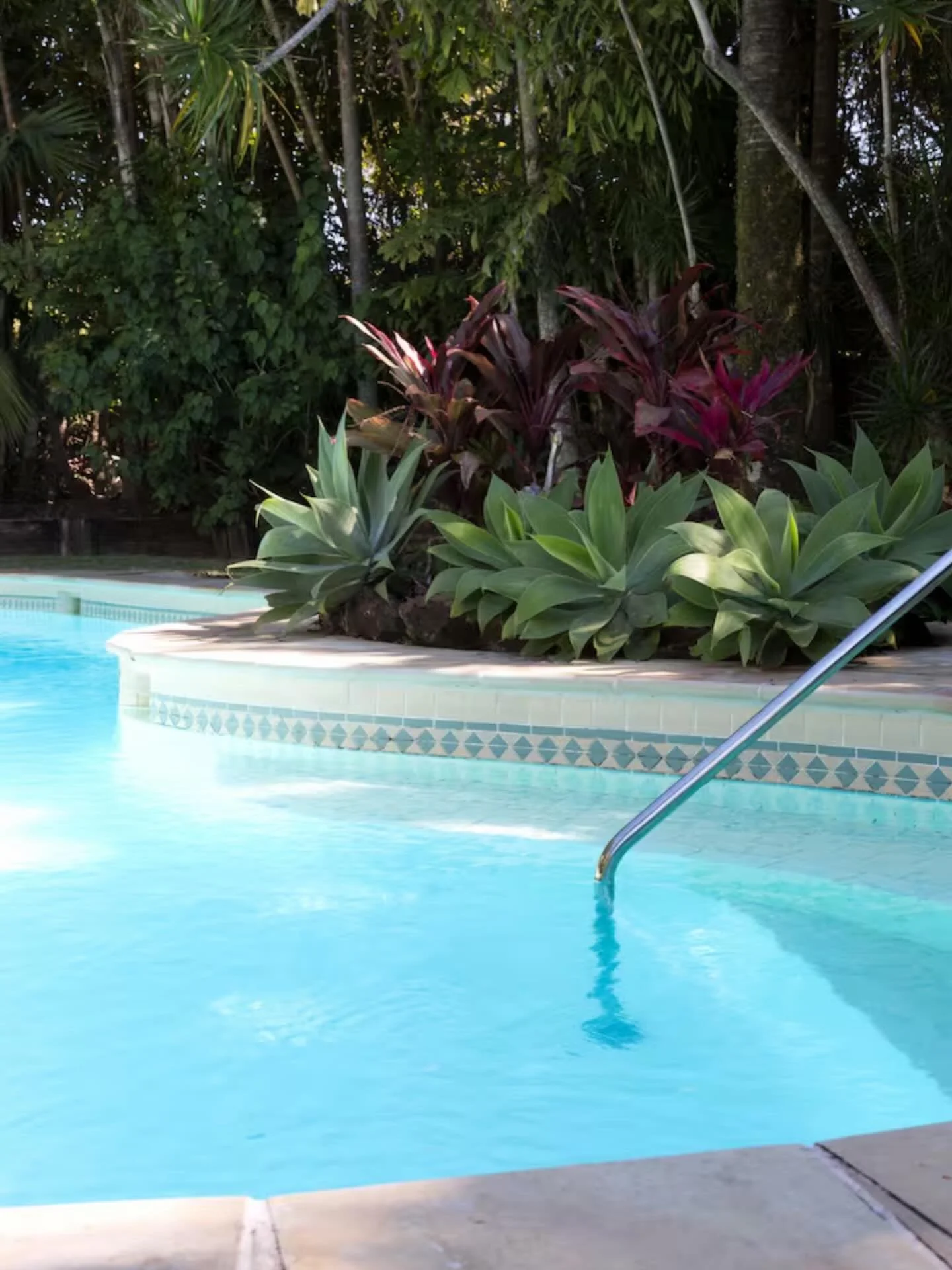 The secret season in Byron Bay 🐋
Quiet beaches, migrating whales, crisp mornings and slow afternoons by the pool. And right now, our rates are lower too! 

#byronbay #visitnsw #whale #byronbayaccommodation #byronbayretreat