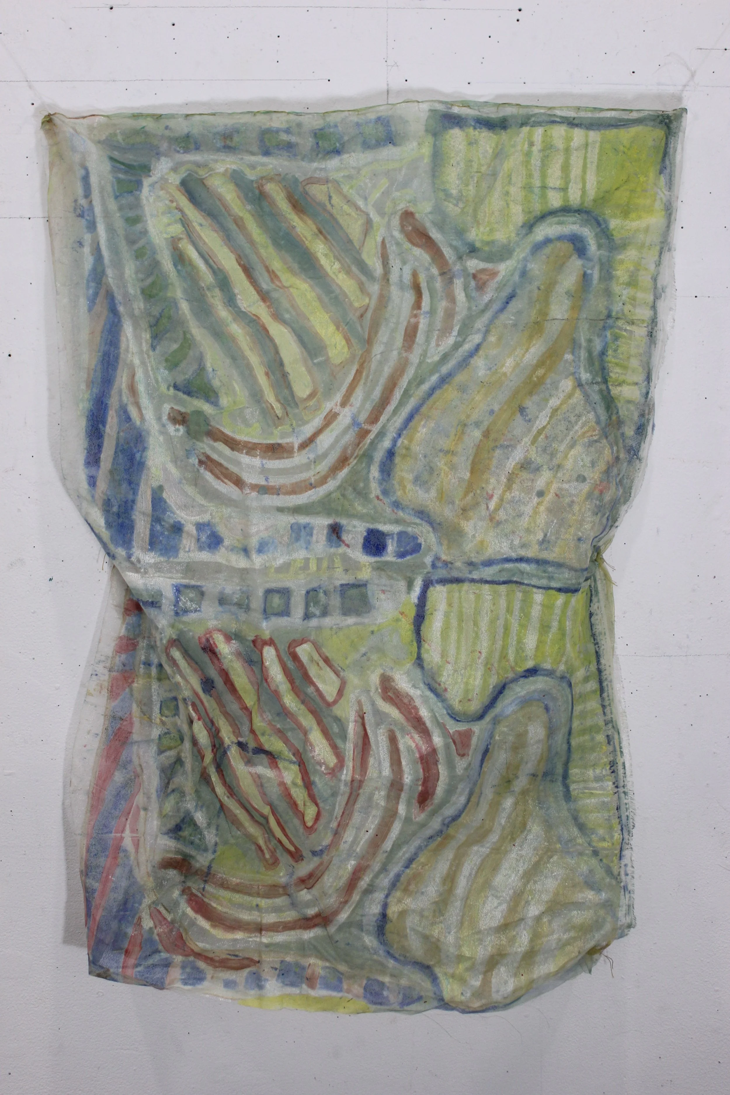 Tulle Print 2019-2024.jpeg