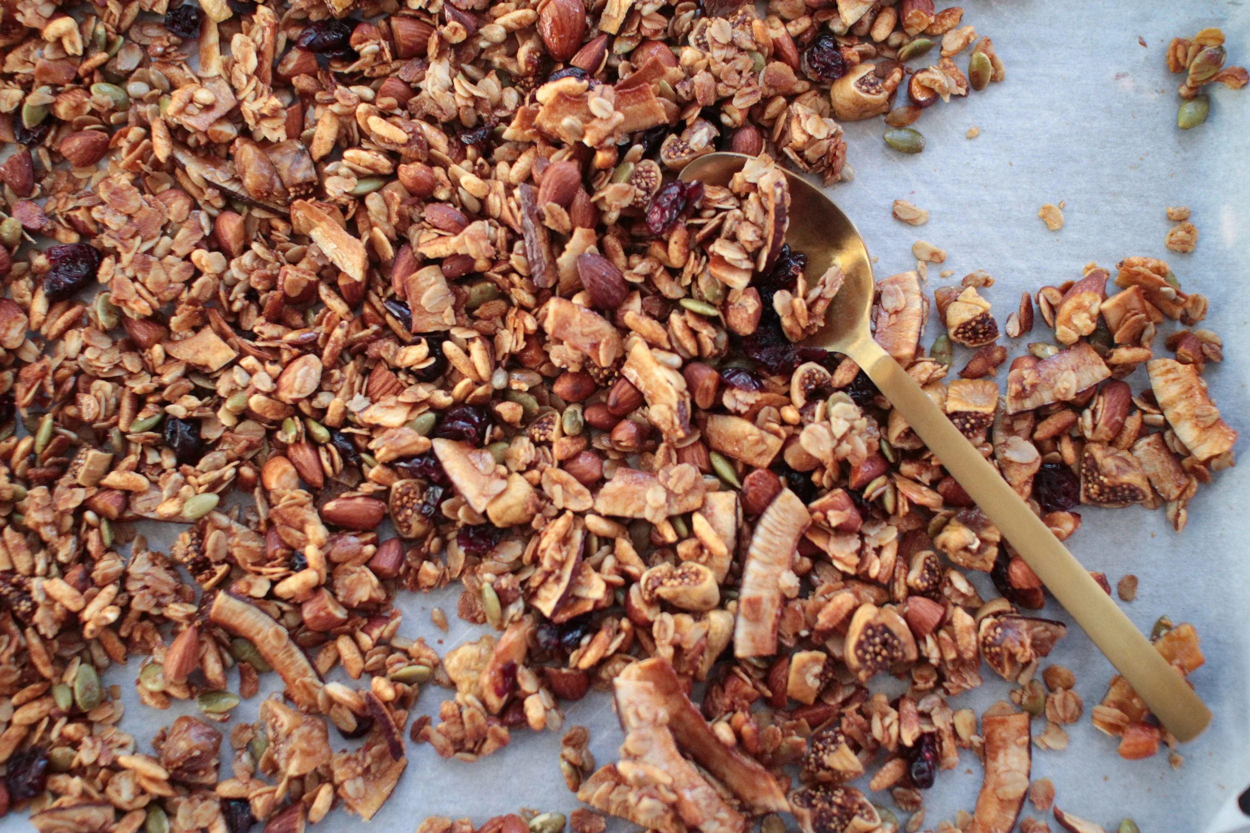 crunchy, seedy, honey granola (gf)
