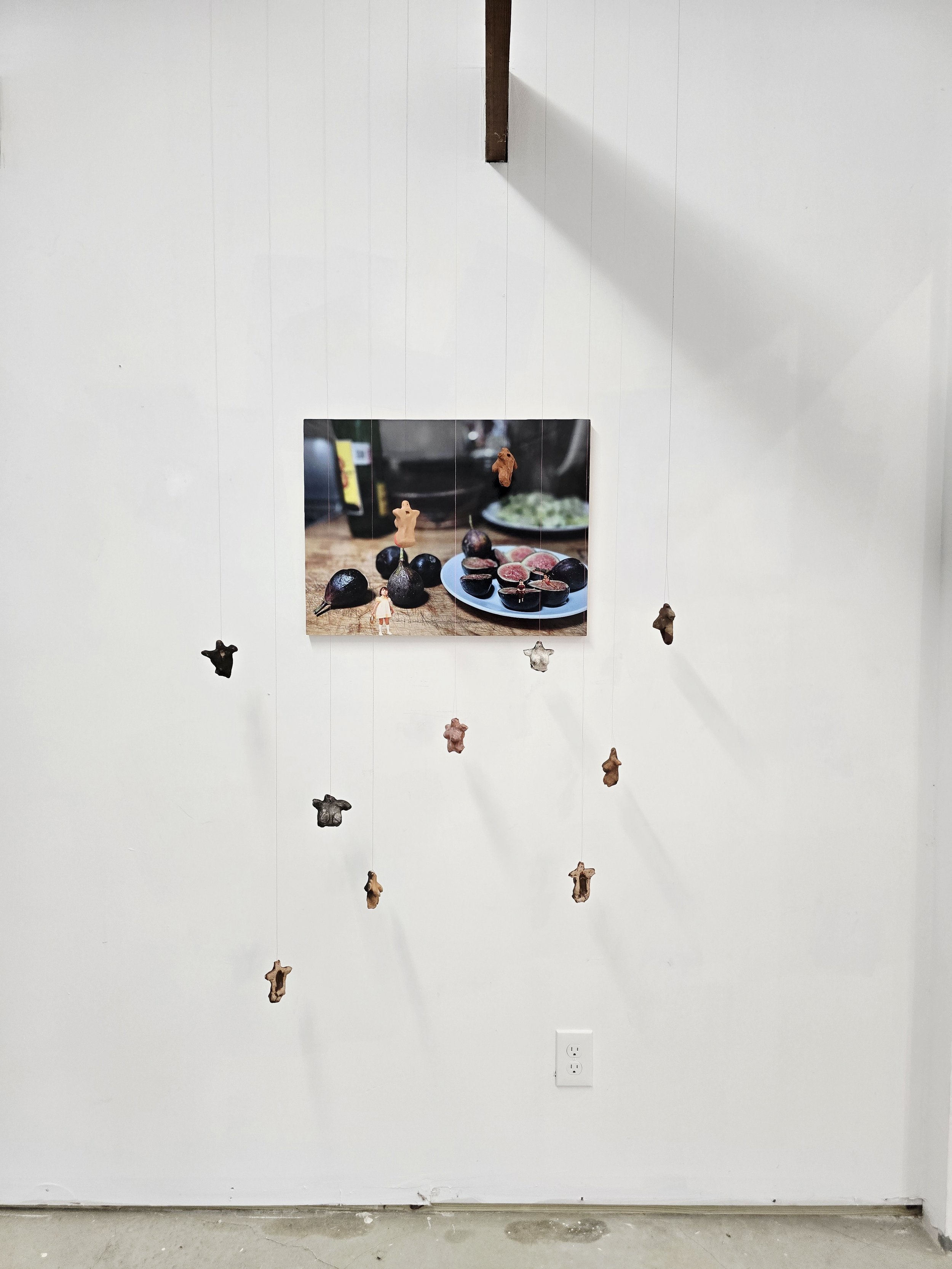 Brenda Melgoza Ciardiello_installation_ fig monologue (la higuera), 2025  photomontage on archival rag paper on panel, archival signed limited edition 1_10  18 x 24 inches_0326.jpg