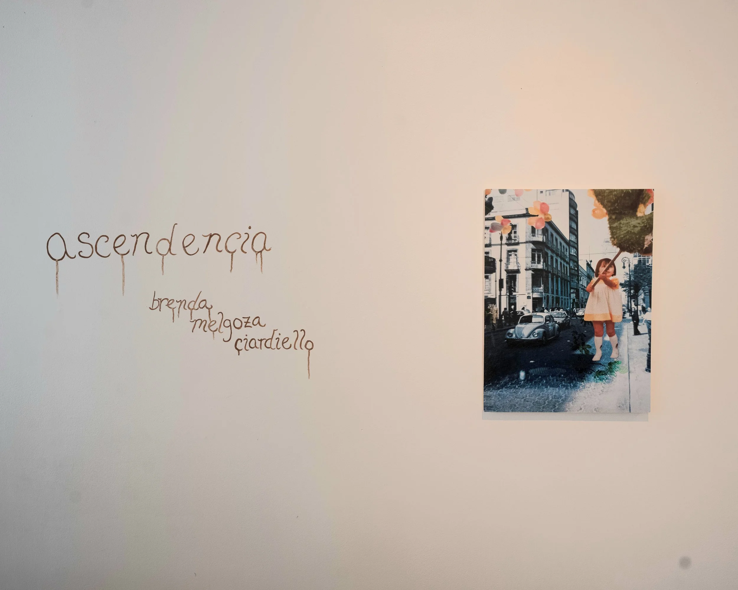 03_zona7- Ascendencia - Brenda Ciardiello.jpg