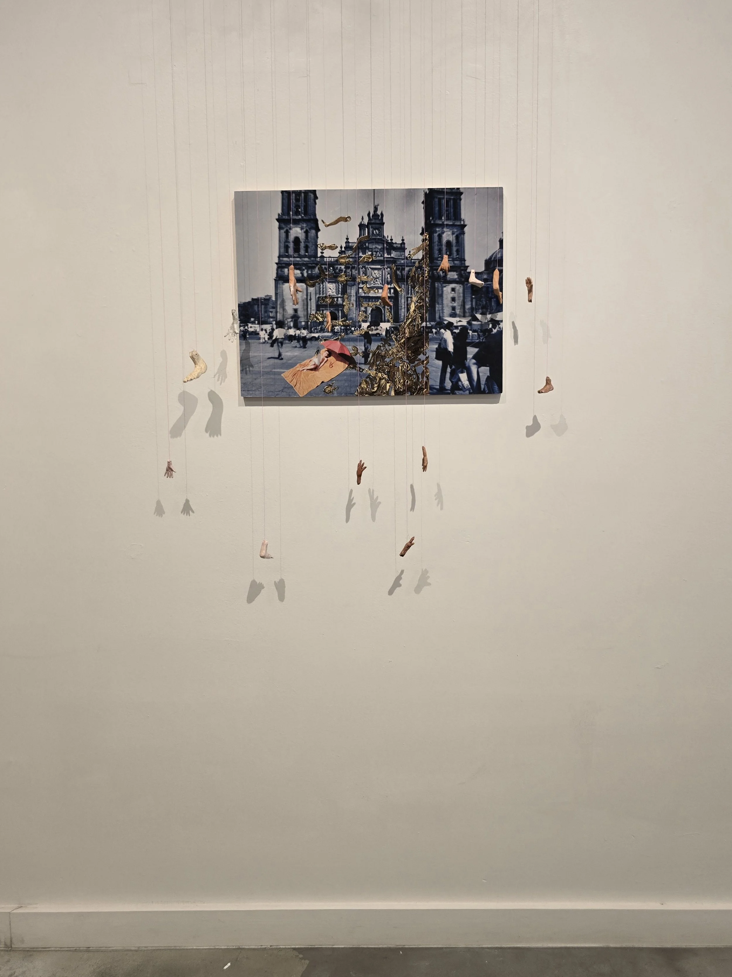 17_zona7- Ascendencia - Brenda Ciardiello.jpg