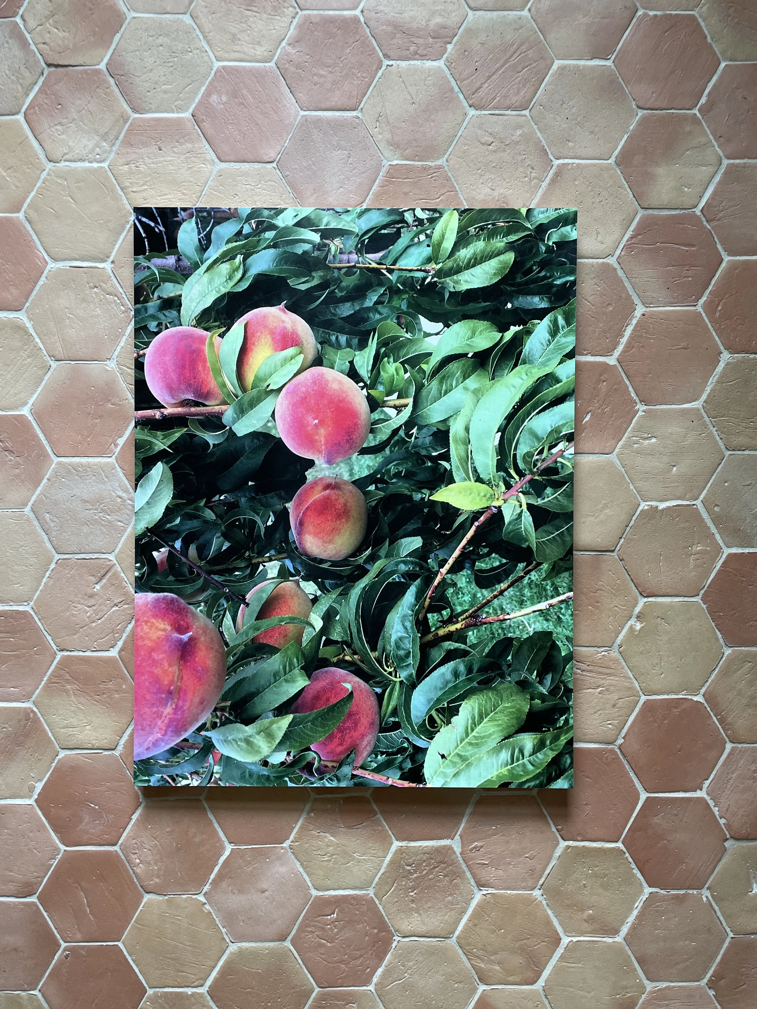 ripe, juicy, good enough to eat (fruits 3) photomontage on archival rag paper
archival signed limited edition 1/10
18 x 24 inches
$750