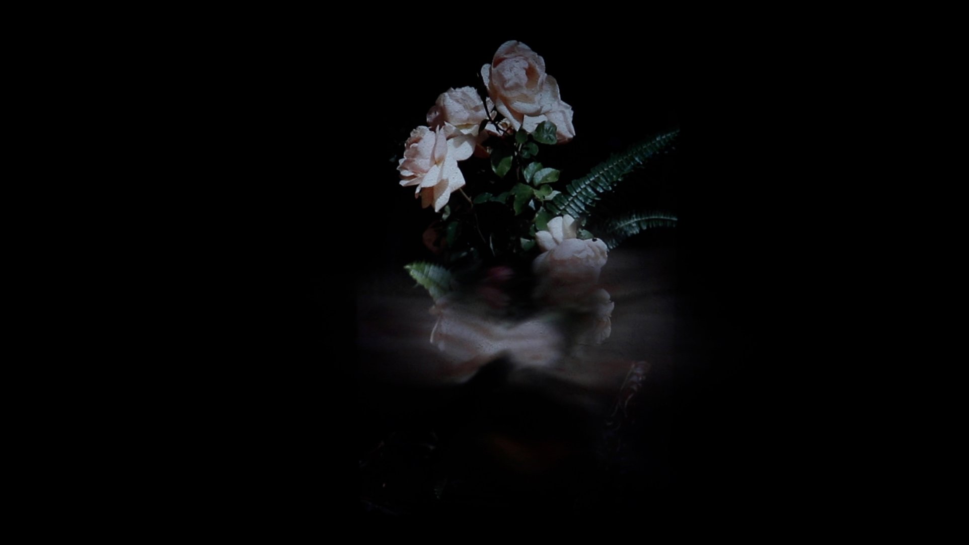 Pancho Westendarp
A knot that is also a star, 2024 
Video, edition 1 of 5.
Dimensions variable
$15000   
e-mail for inquiries: fwestendarp@gmail.com