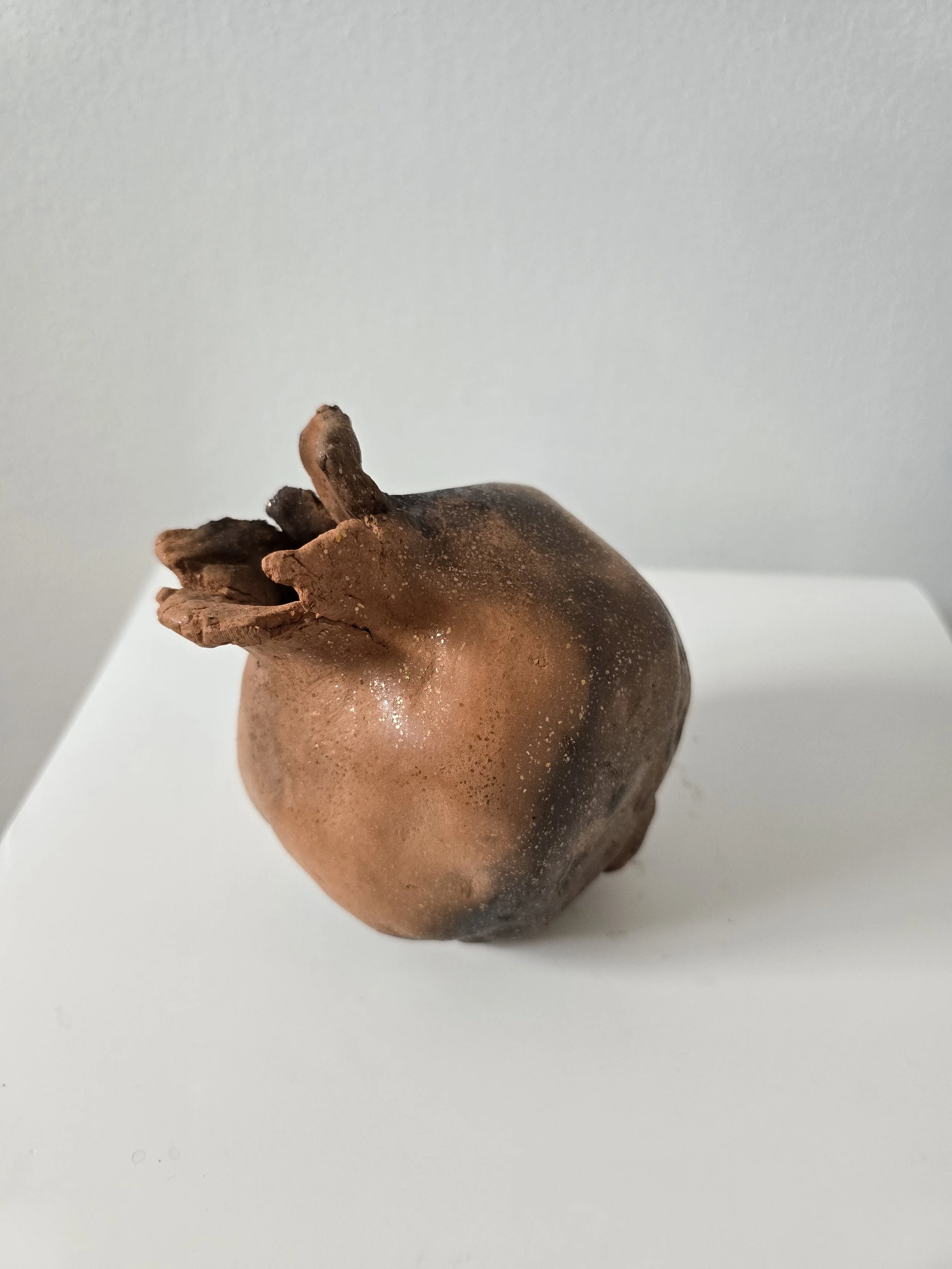 primitive pomegranate (red)
