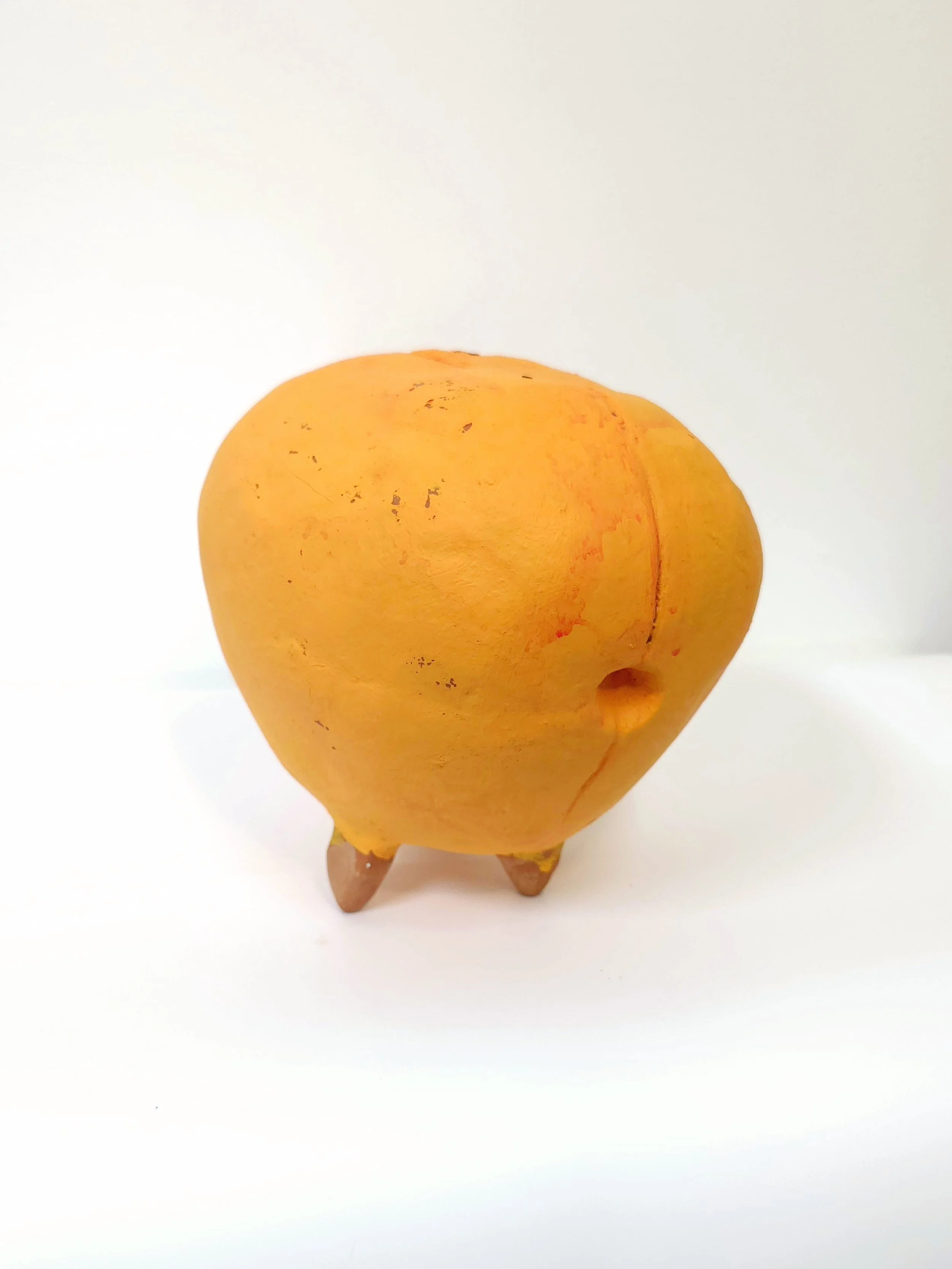 Copy of MelgozaCiardielloB_ripe out of season_0624.jpg