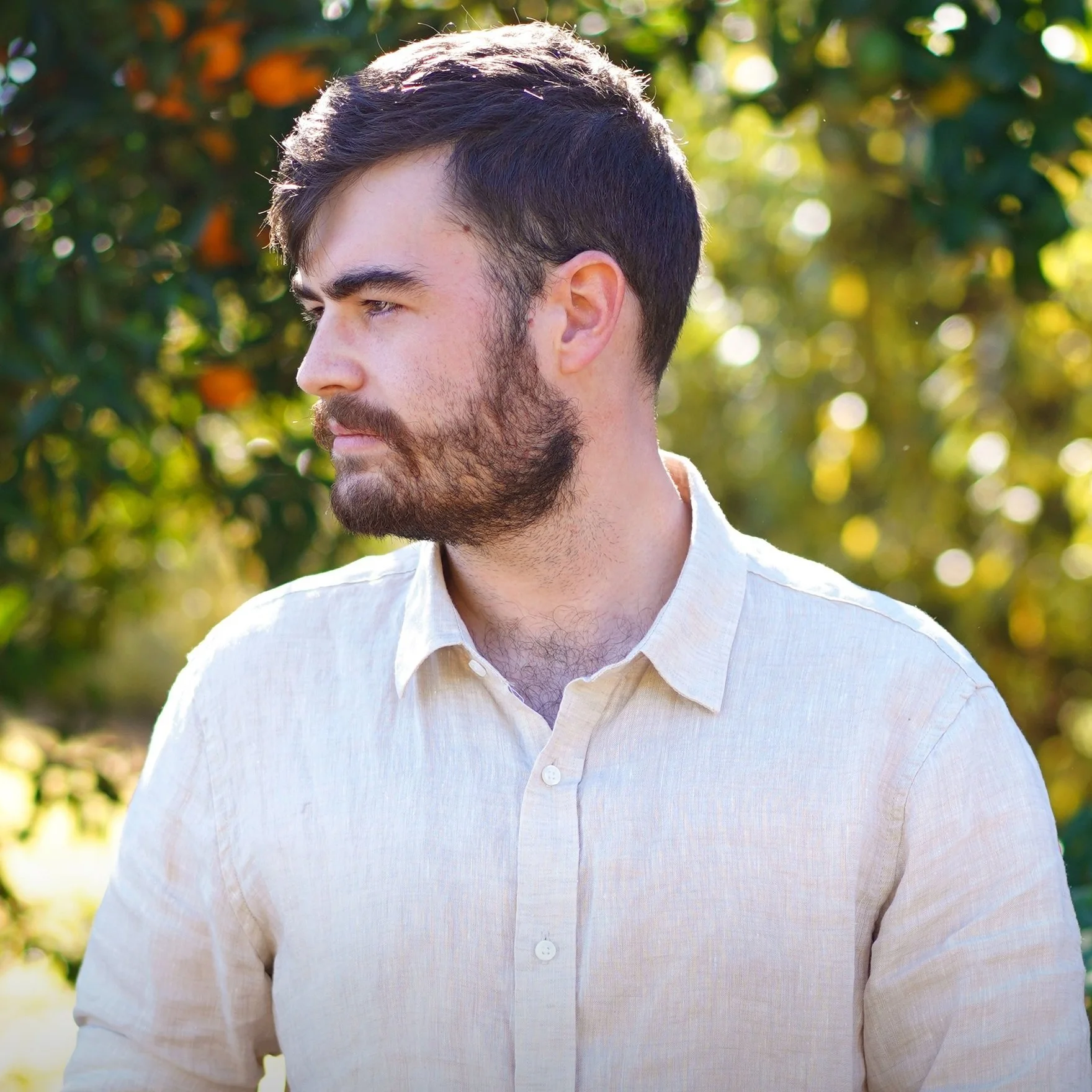 Little Z — BOSS BATTLES