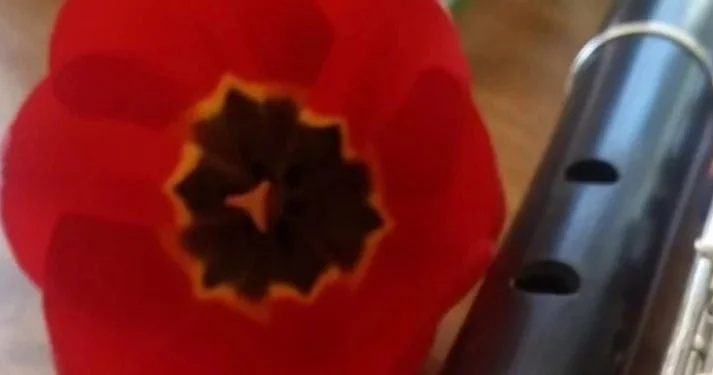 36528615_10156618123372664_4741409789001596928_o - Copy.jpg