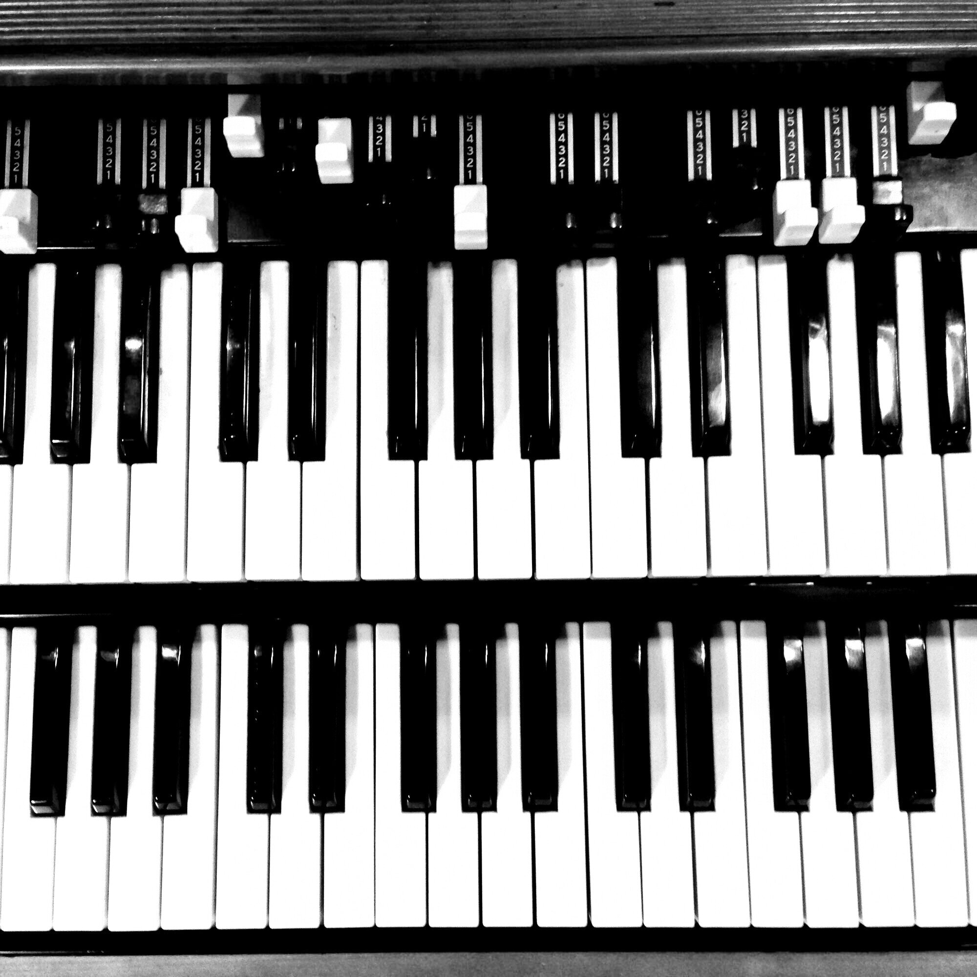 Organ.jpg