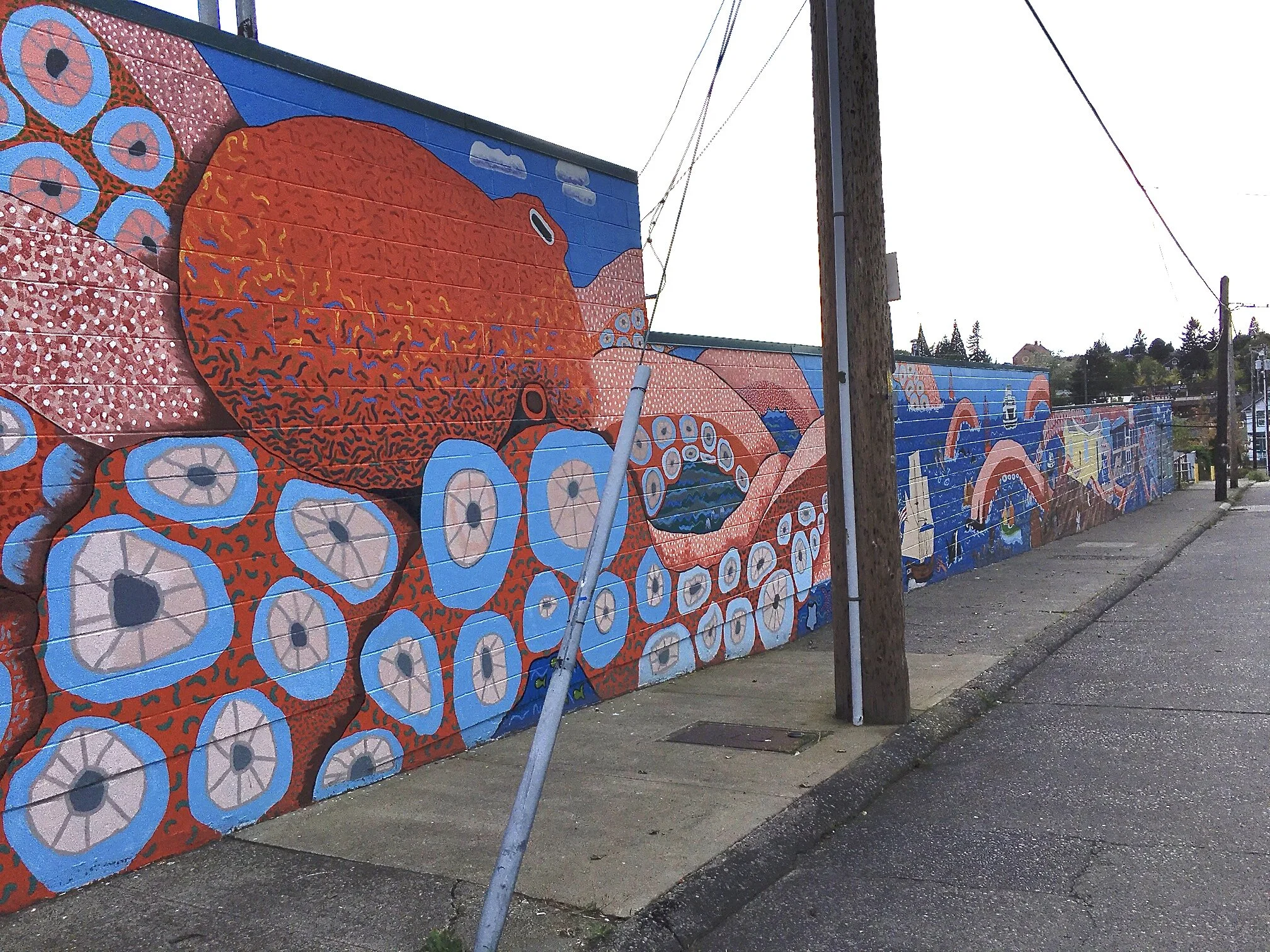 Dr ML King Way Octomural