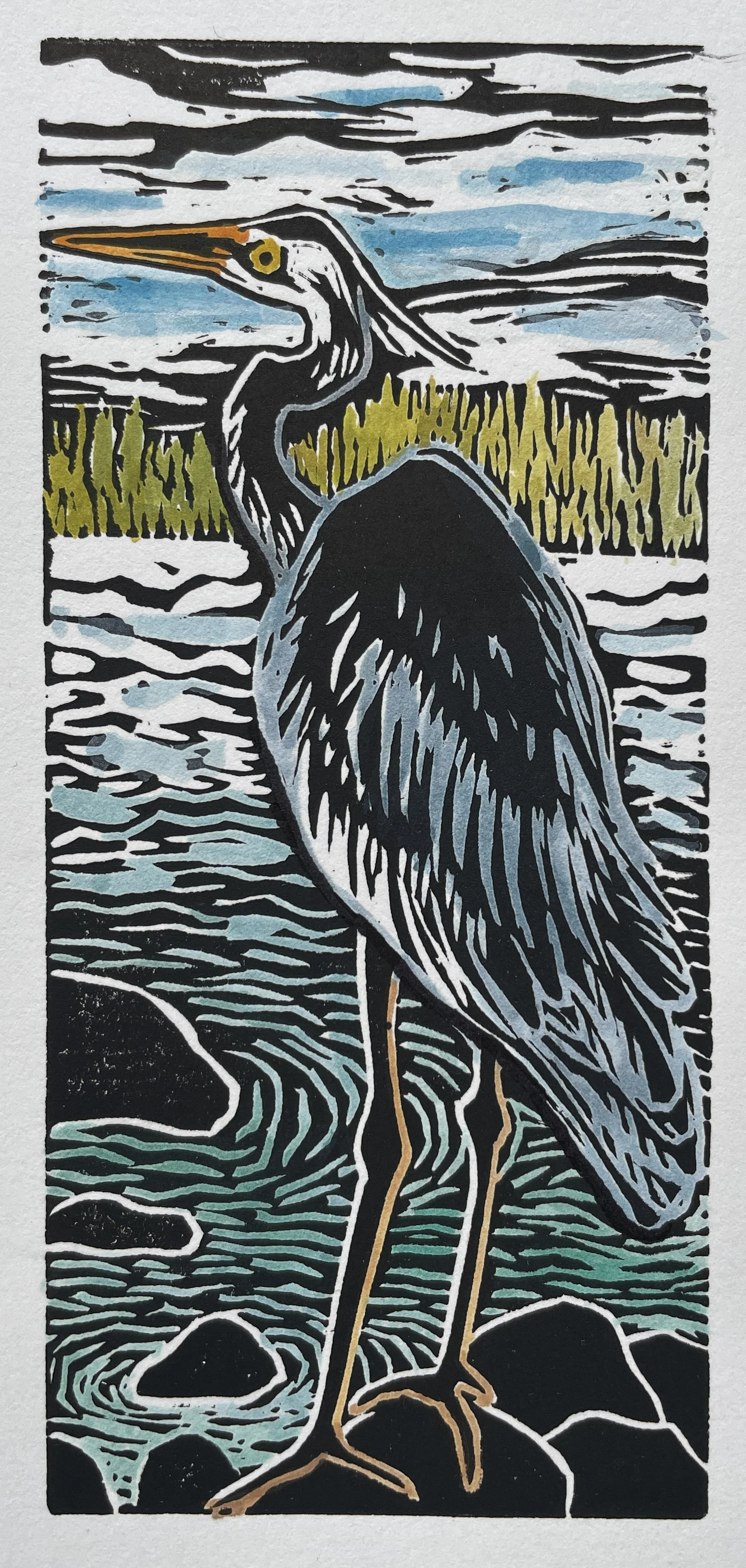 Great Blue Heron