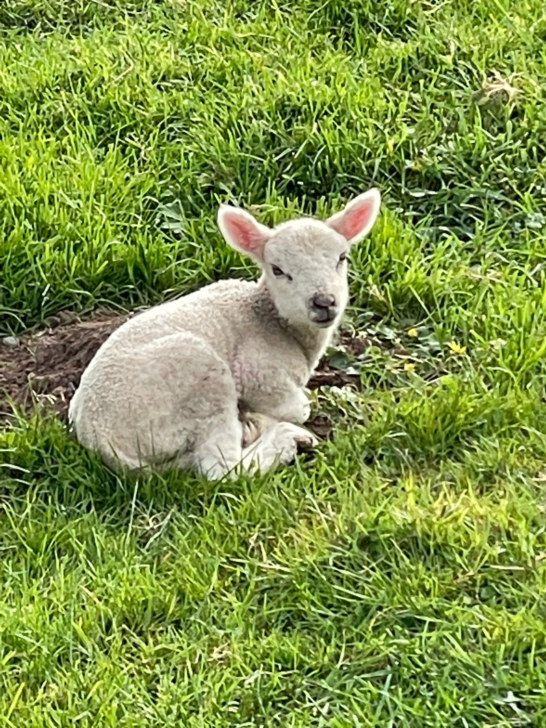 The first day…In two days